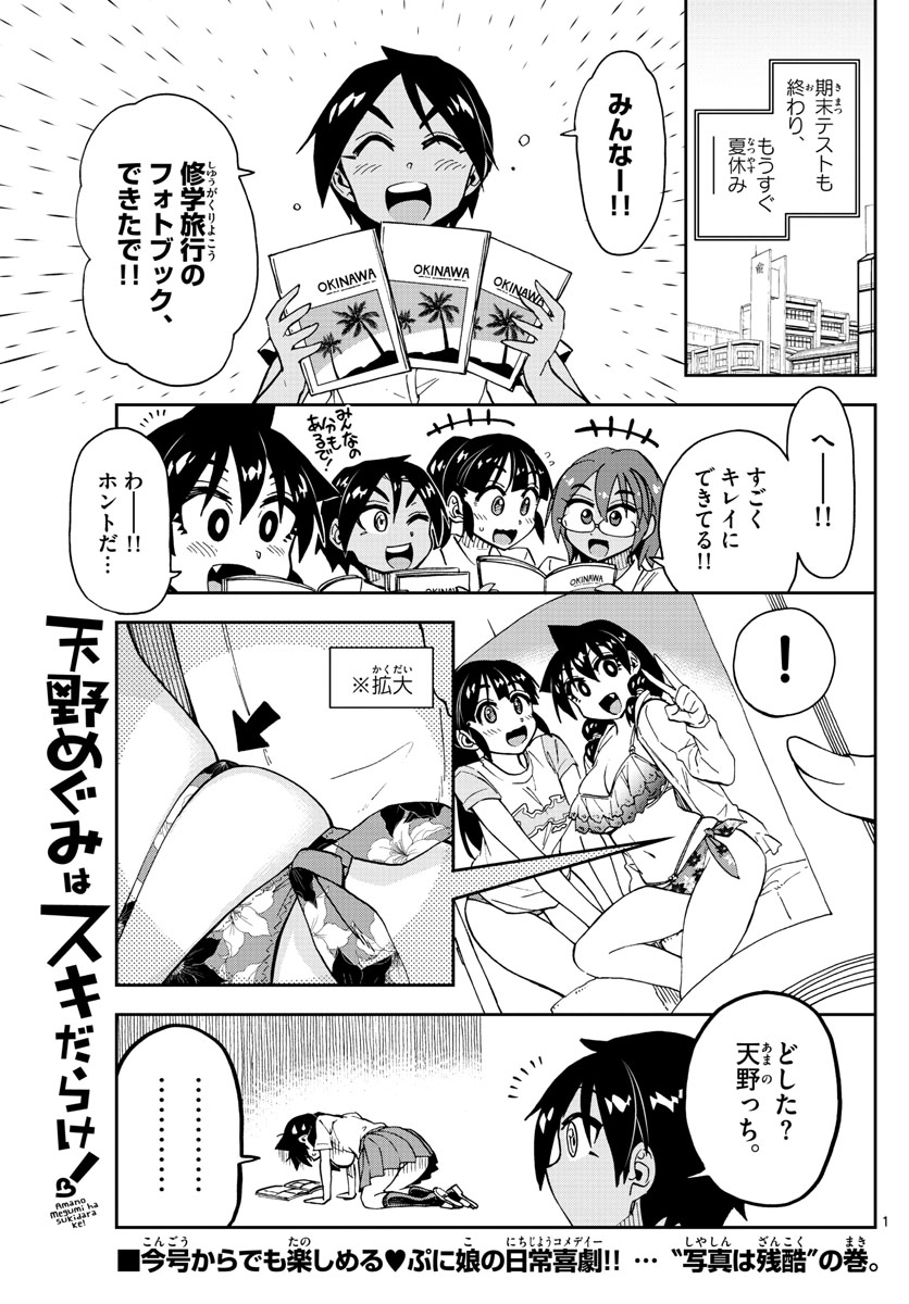 AMANO MEGUMI WA SUKI DARAKE! - RAW Chapter 141 page 1 - nihonkuni.com