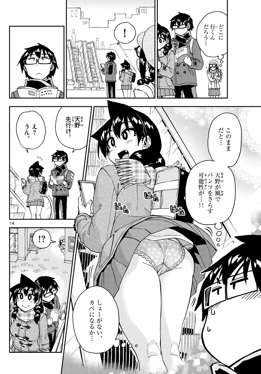 AMANO MEGUMI WA SUKI DARAKE! - RAW Chapter 204 page 14 - nihonkuni.com