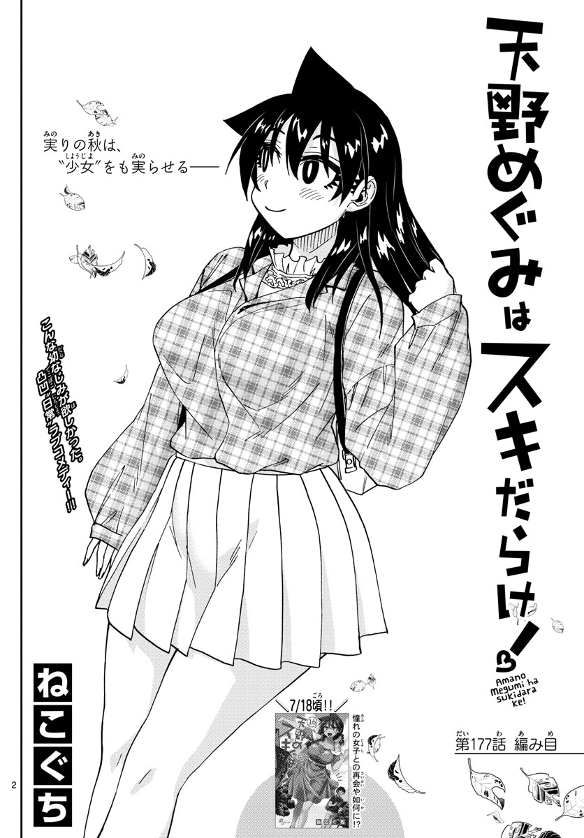 AMANO MEGUMI WA SUKI DARAKE! - RAW Chapter 177 page 2 - nihonkuni.com