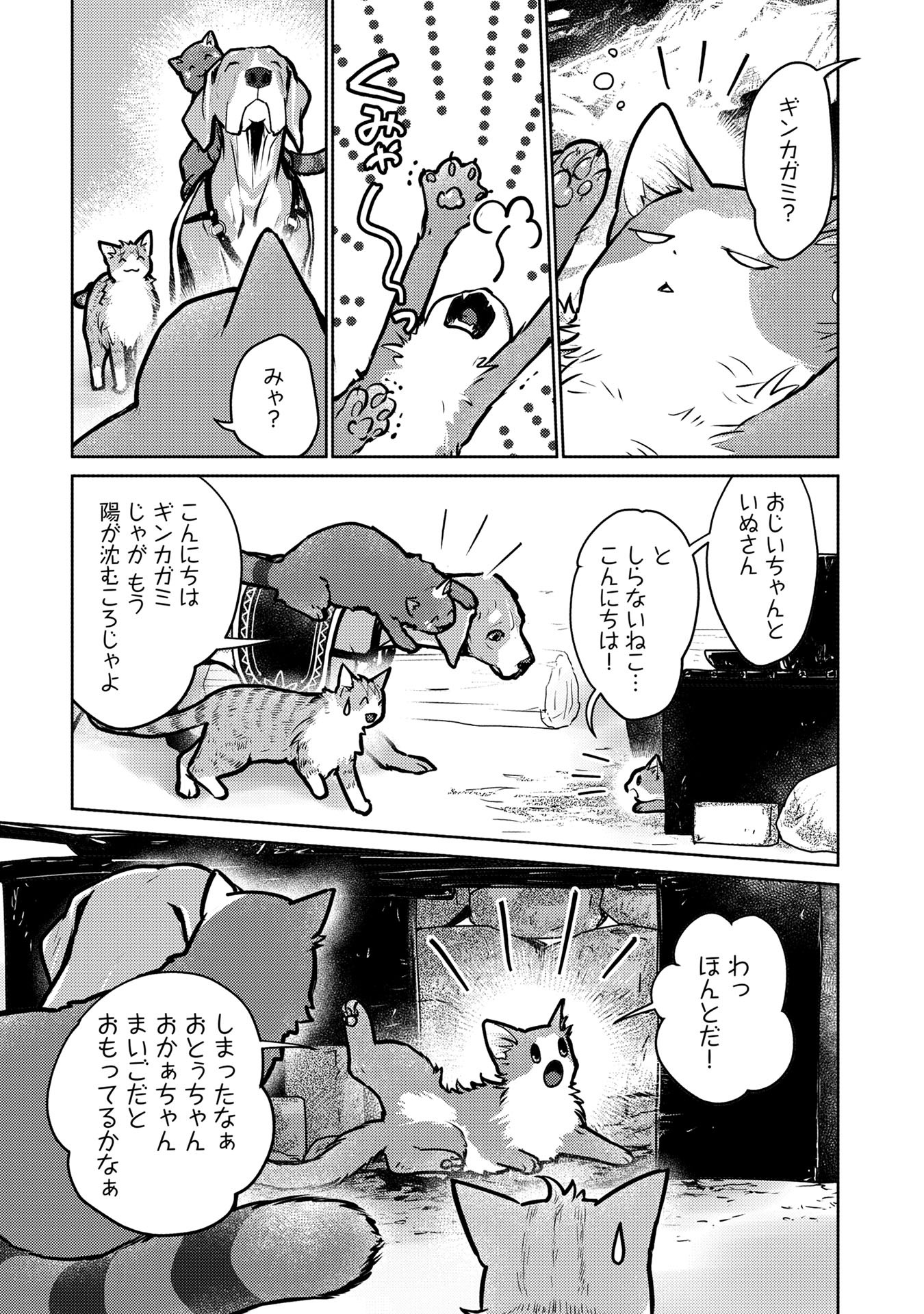 Chapter 41