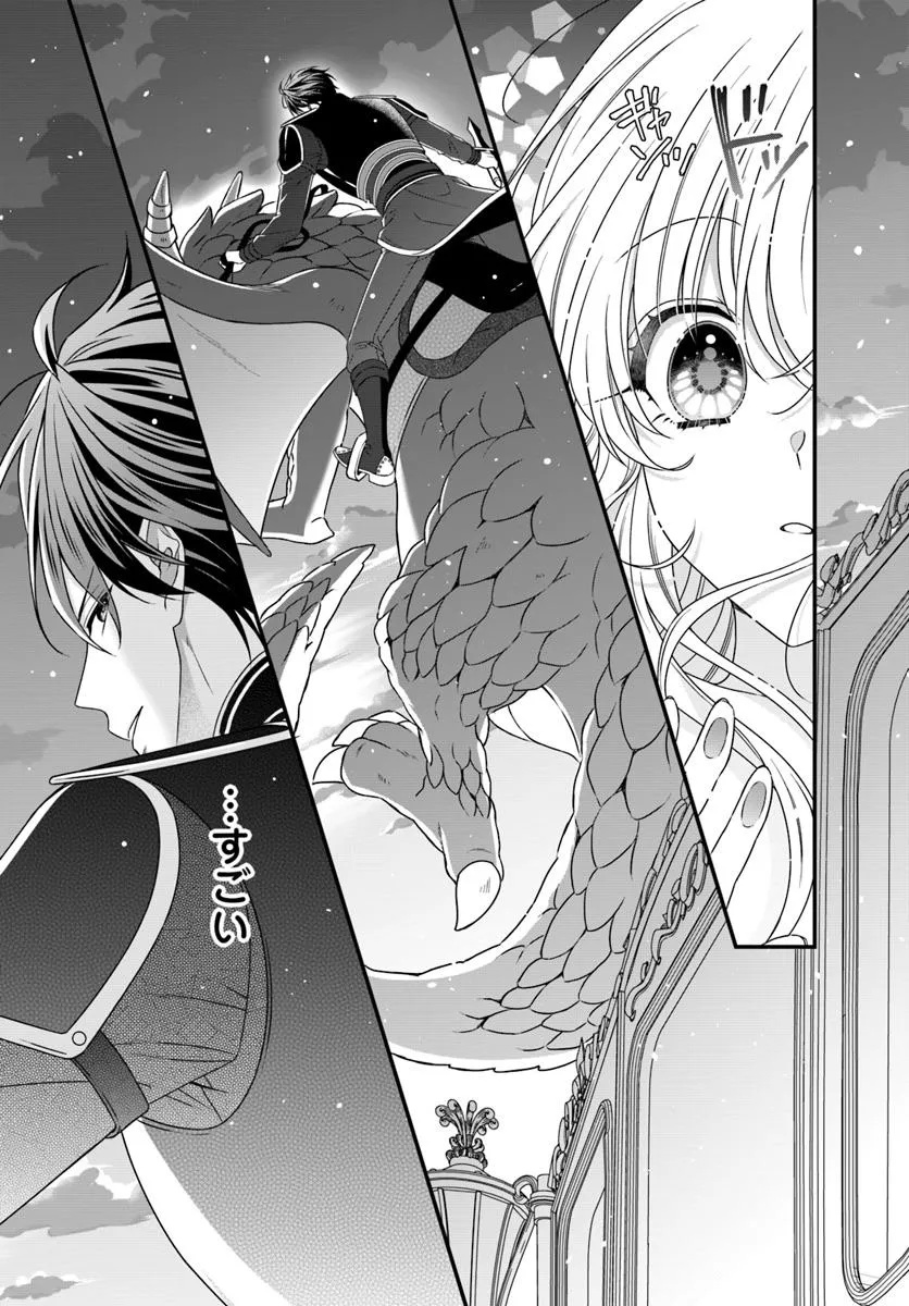 OUJO DESHITA GA KOSSORI RYUU KISHIDAN NO SENZOKU KUSUSHI NI NARIMASHITA! Chap 1 - Pic 27