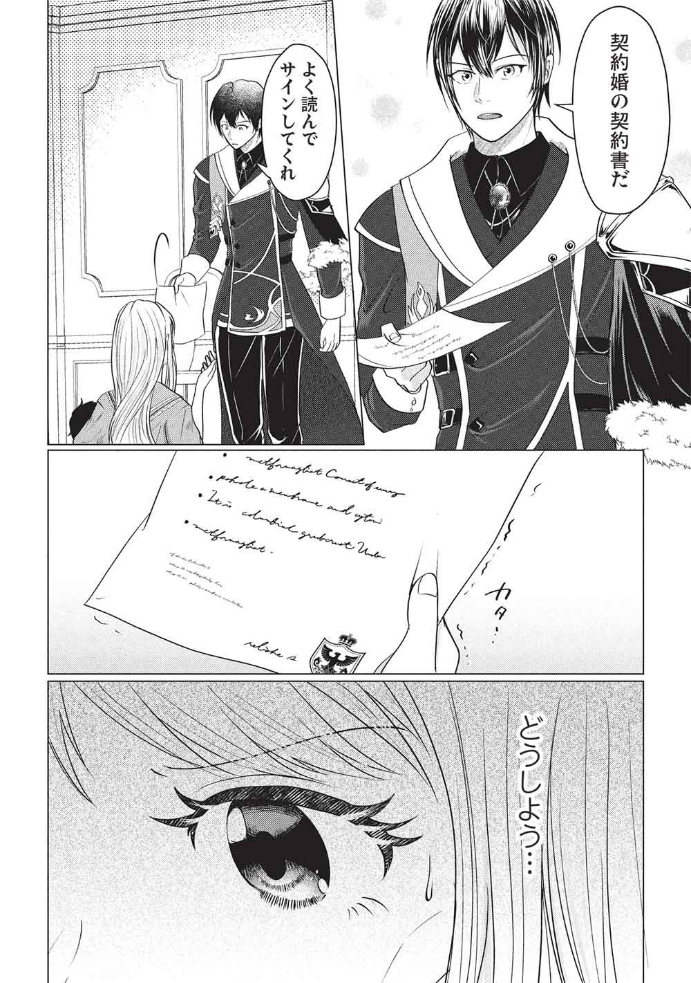 1 NEN KAGIRI NO KEIYAKKON (KOUSHAKU SAMA NO DEKIAI TSUKI!): EIYUU NO KEIBO NI NATTA WATASHI WA, DOUYARA SEIJO NO MATSUEI NO YOUNI DESU Chapter 3 - Page 17