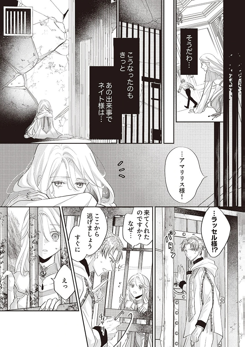 NISEMONO DA TO TEKIKOKU NI TSUIHOU SAREMASHITA GA, DOUYARA HONMONO NO SEIJO WA WATASHI NO YOU DESU. - RAW Chapter 1 page 26 - nihonkuni.com