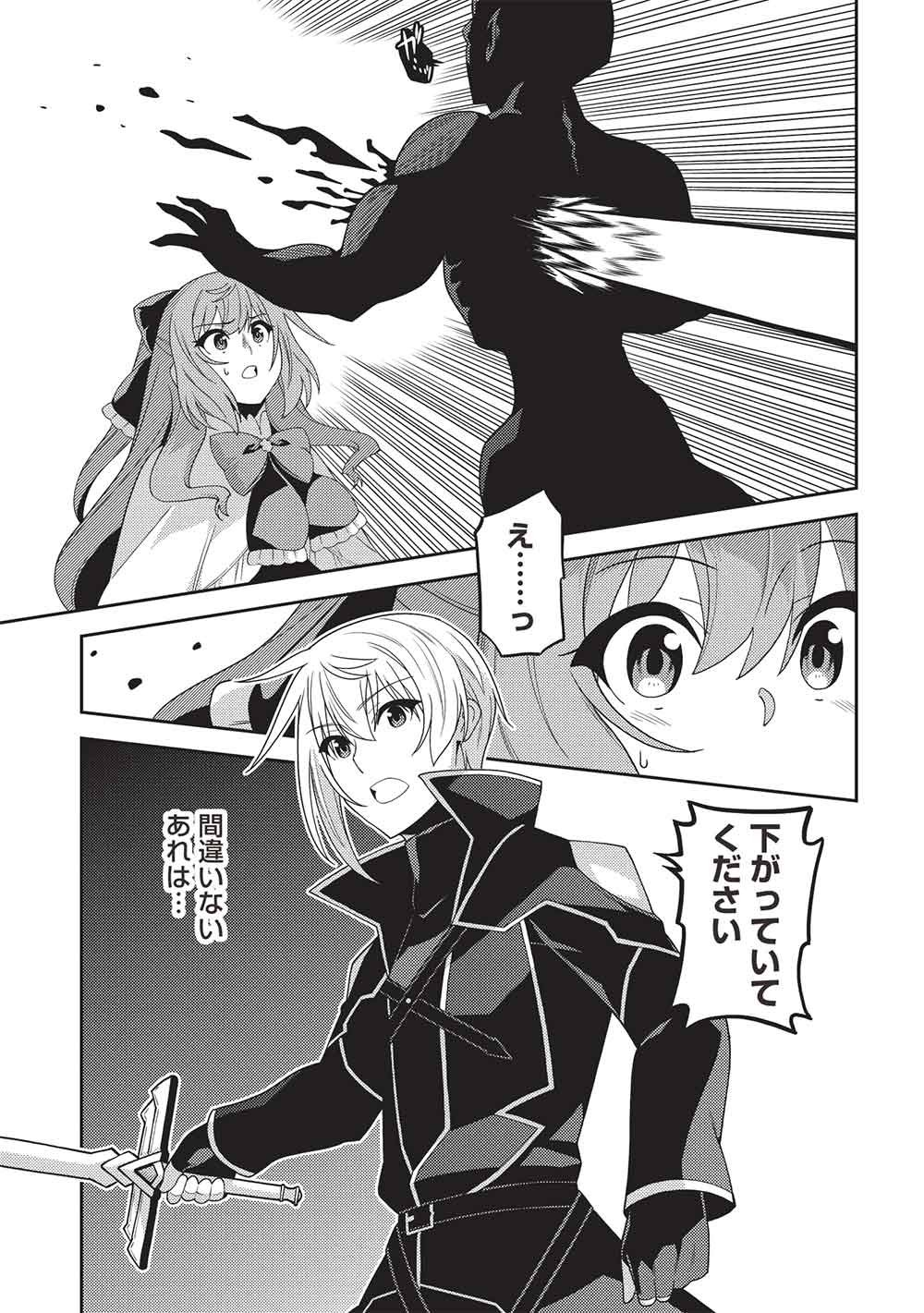 Read SEIREI GENSOUKI - RAW Chapter 68 [High Quality / Full] - Page 25 - nicomanga.com