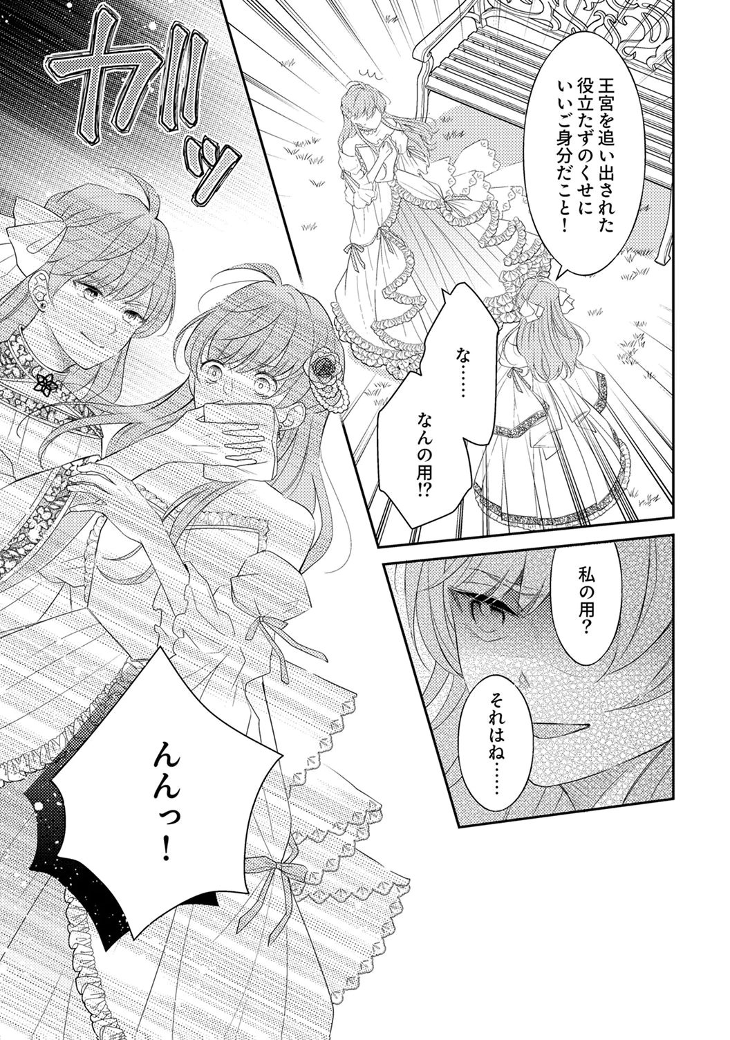 "ANE NO SPARE" TO YOBARETA MIGAWARI JINSEI WA, KYOU DE YAMERU KOTO NI SHIMASU: HENKYOU DE JIYUU WO MANKITSU CHUU NANODE, IMASARA SHIN NO SEIJO TO IWARETE MO SHIRIMASEN! Chapter 5 page 23 - nihonkuni.com
