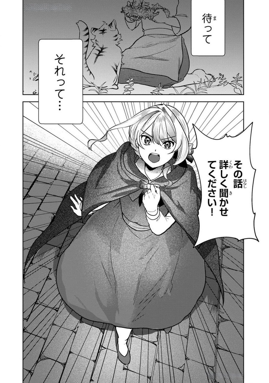 KONYAKU HAKI SHITA WO BAKA NA OUJI WA HOTTOITE, AKUYAKU REIJOU WA SEIREI NO MORI DE SHIAWASE NI NARIMASU. Chapter 10 page 22 - nihonkuni.com