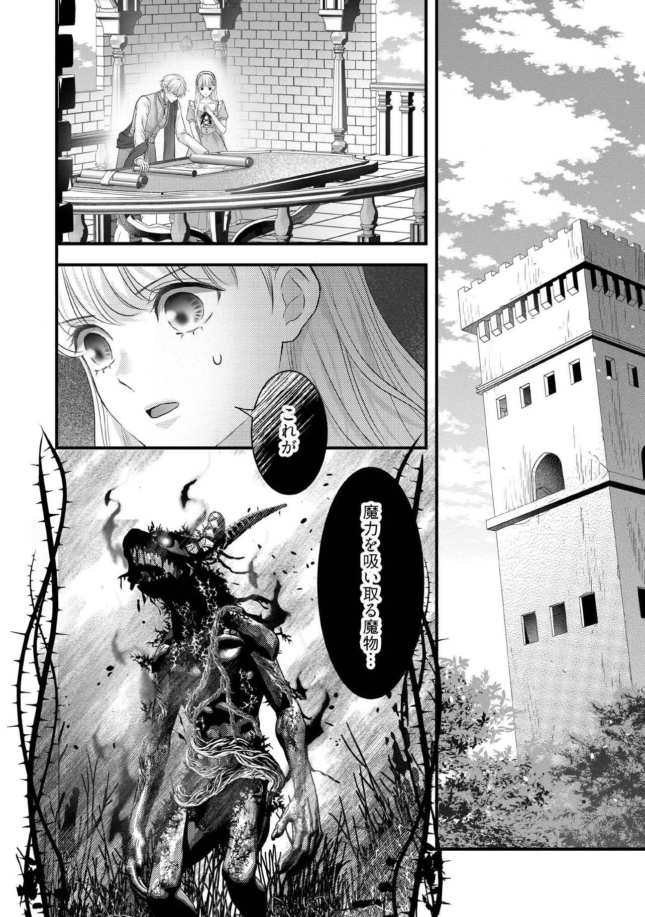 KARAPPO SEIJO TO SHITE SUTERARETA HAZU GA, TOTSUGI-SAKI NO KOUTEI HEIKA NI DEKIAISARETEIMASU Chapter 28.1 page 5 - nihonkuni.com