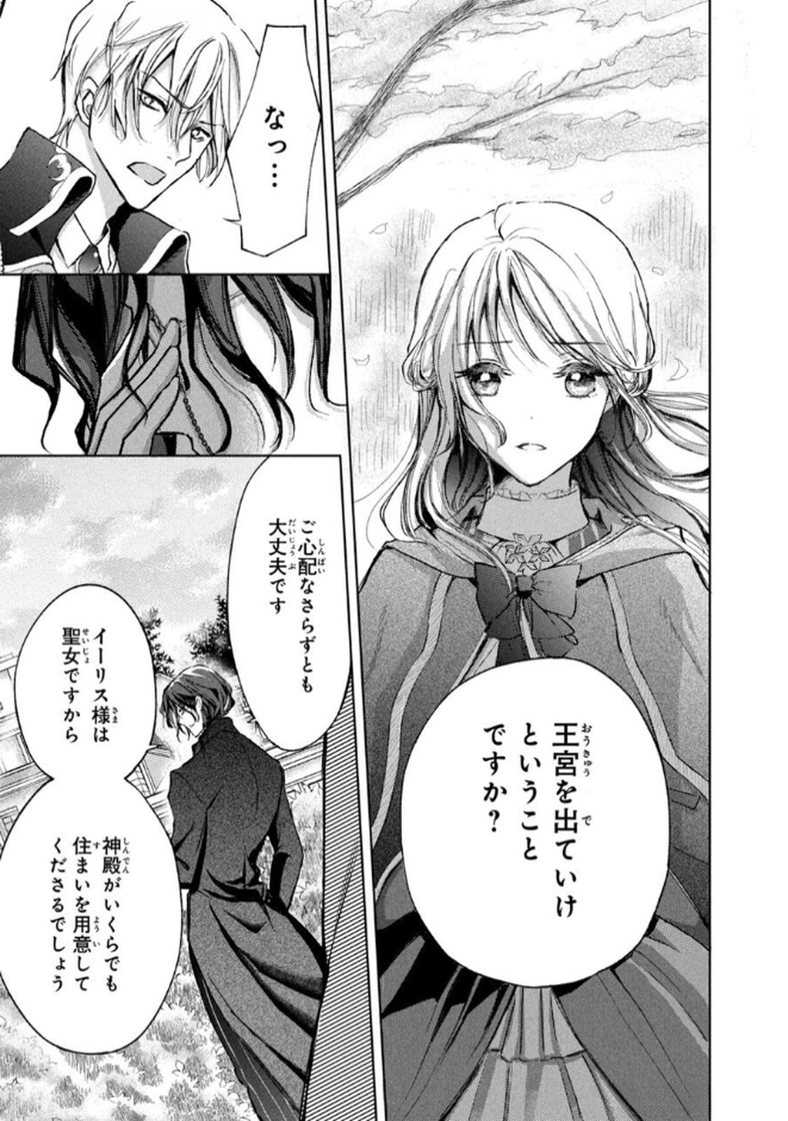 OUHI-SAMA WA RIKON SHITAI - ISEKAI KARA SEIJO-SAMA GA KITA NO DE, MOU OYAKU GOMEN DESU WA NE? Chapter 20 - Page 25
