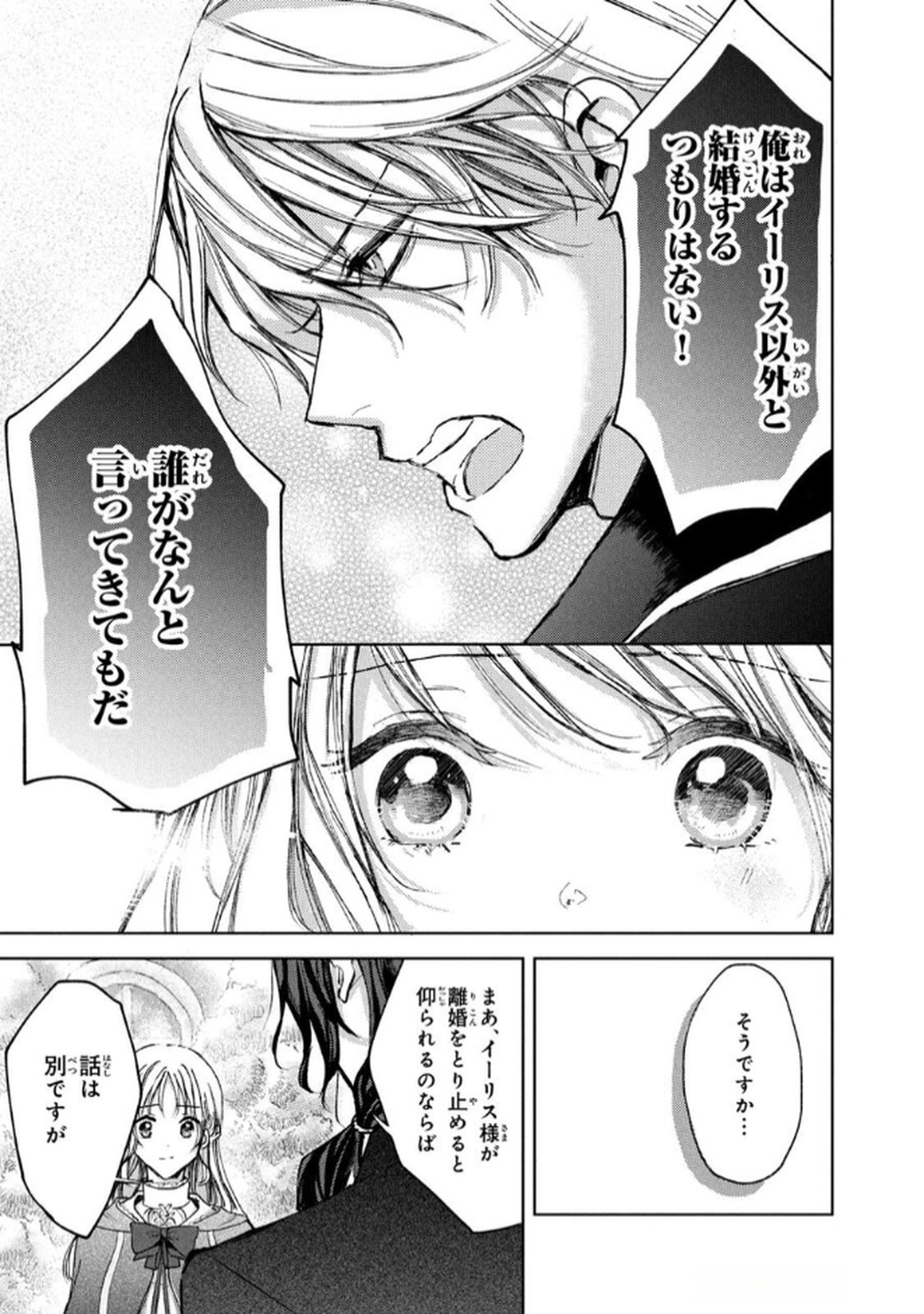 OUHI-SAMA WA RIKON SHITAI - ISEKAI KARA SEIJO-SAMA GA KITA NO DE, MOU OYAKU GOMEN DESU WA NE? Chapter 20 - Page 29