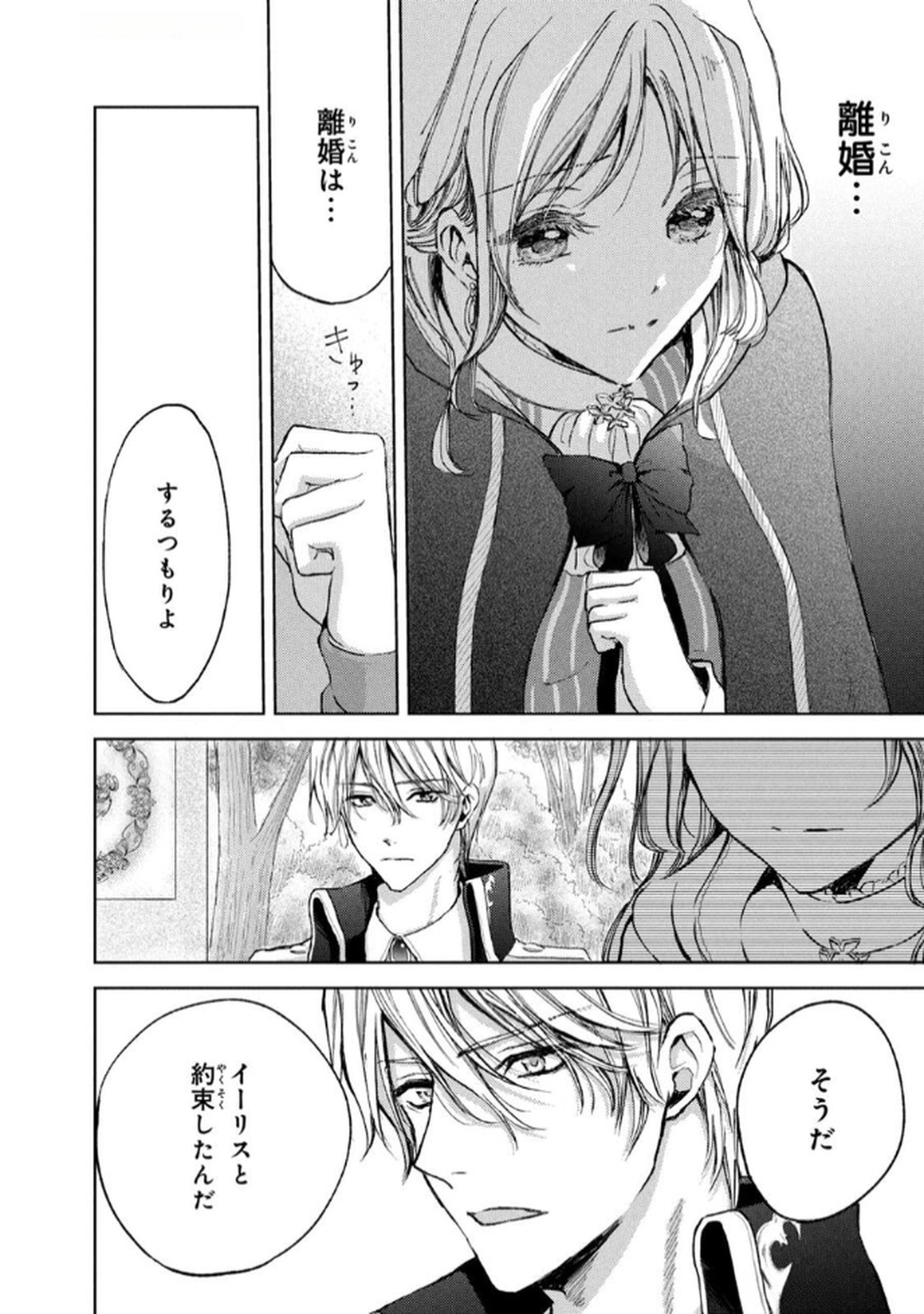 OUHI-SAMA WA RIKON SHITAI - ISEKAI KARA SEIJO-SAMA GA KITA NO DE, MOU OYAKU GOMEN DESU WA NE? Chapter 20 - Page 30
