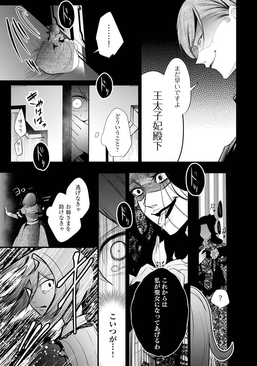 Read FUKUSHUU REIJOU NO AKUTOUGARI Chapter 2.1 [High Quality / Full] - Page 26 - nicomanga.net