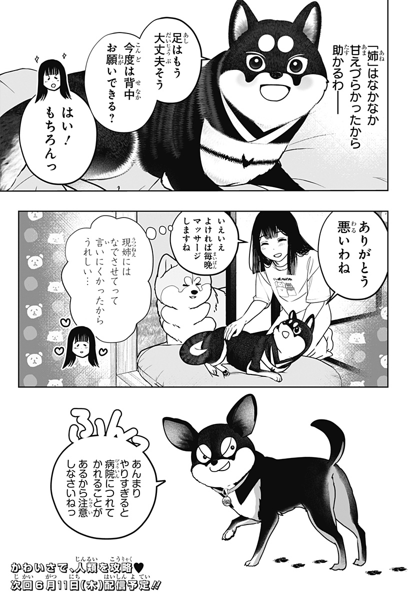 Read SHIBA-TSUKI BUKKEN Chapter 52 [High Quality / Full] - Page 25 - dark.nicomanga.com