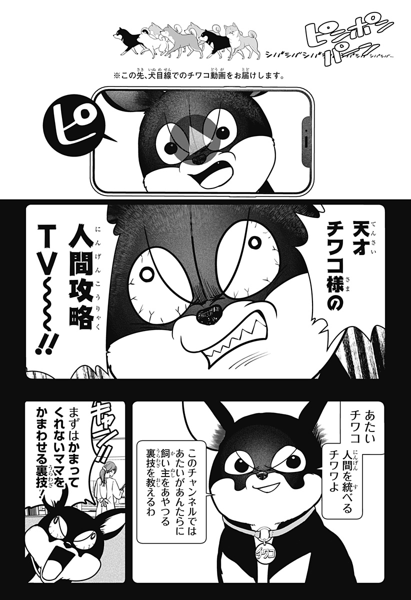 Read SHIBA-TSUKI BUKKEN Chapter 52 [High Quality / Full] - Page 16 - dark.nicomanga.com