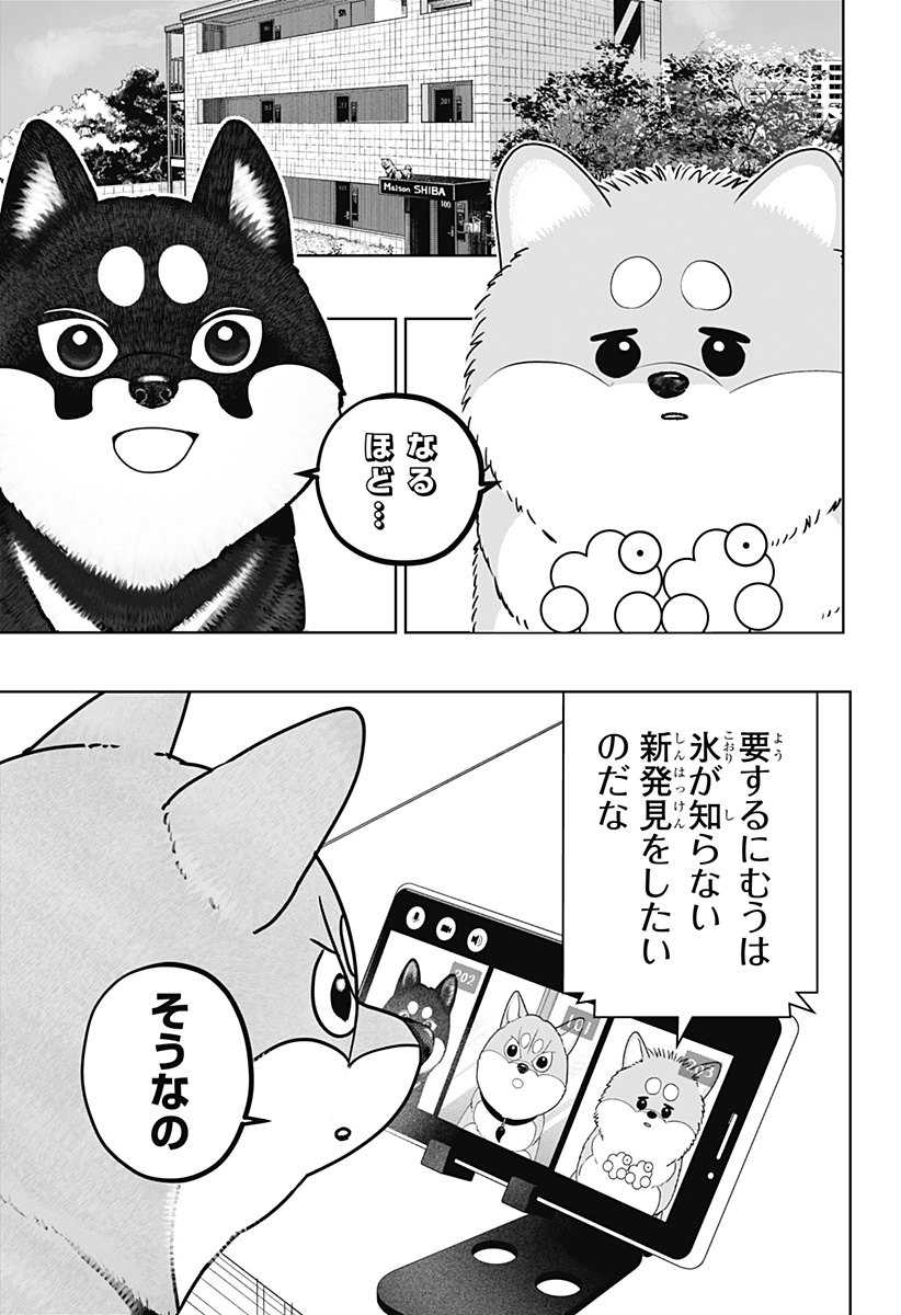 Read SHIBA-TSUKI BUKKEN Chapter 49 [High Quality / Full] - Page 13 - dark.nicomanga.com