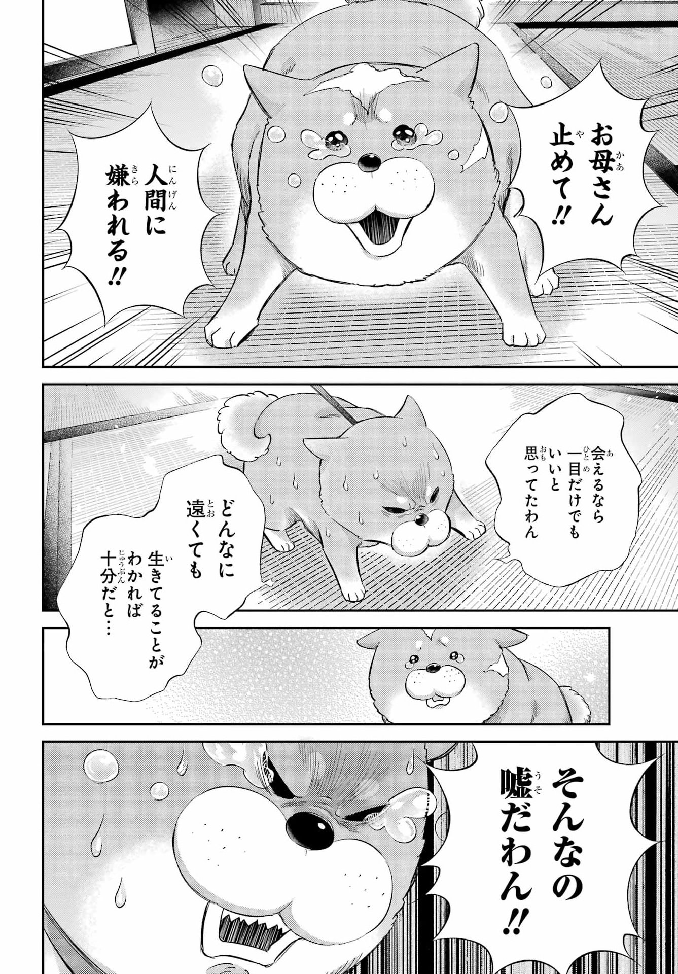 Read OJISAMA TO NEKO Chapter 134 [High Quality / Full] - Page 19 - dark.nicomanga.com