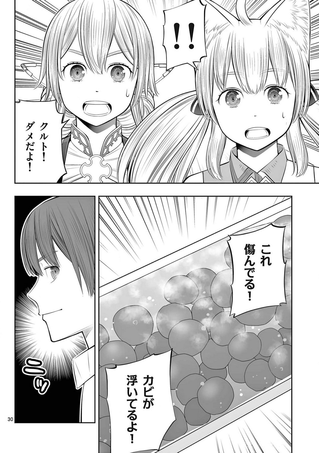 OKASHI SHOKUNIN NO NARIAGARI - TENSAI PATISHIE NO RYOUCHI KEIEI Chapter 37 page 30 - nihonkuni.com