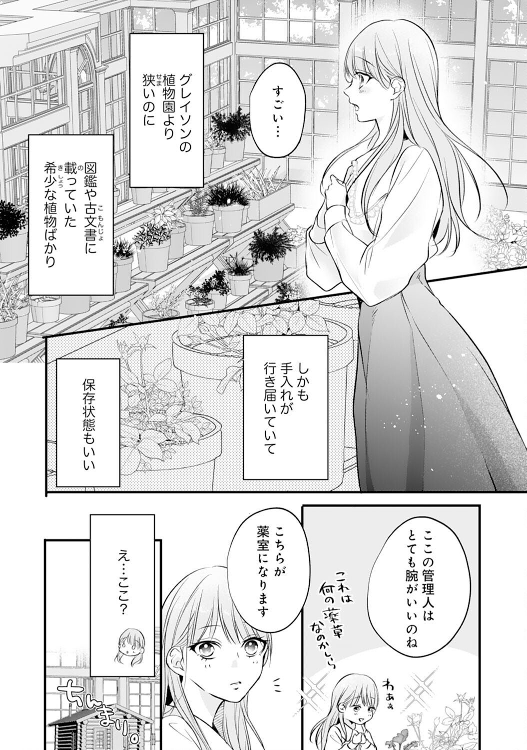 AKUJO NO RETTERU WO HARARETA TSUIHOU REIJOU DESU GA, SAIKYOU HEIKA NO DEKIAI NI TSUKAMARIMASHITA Chap 2 - Pic 9