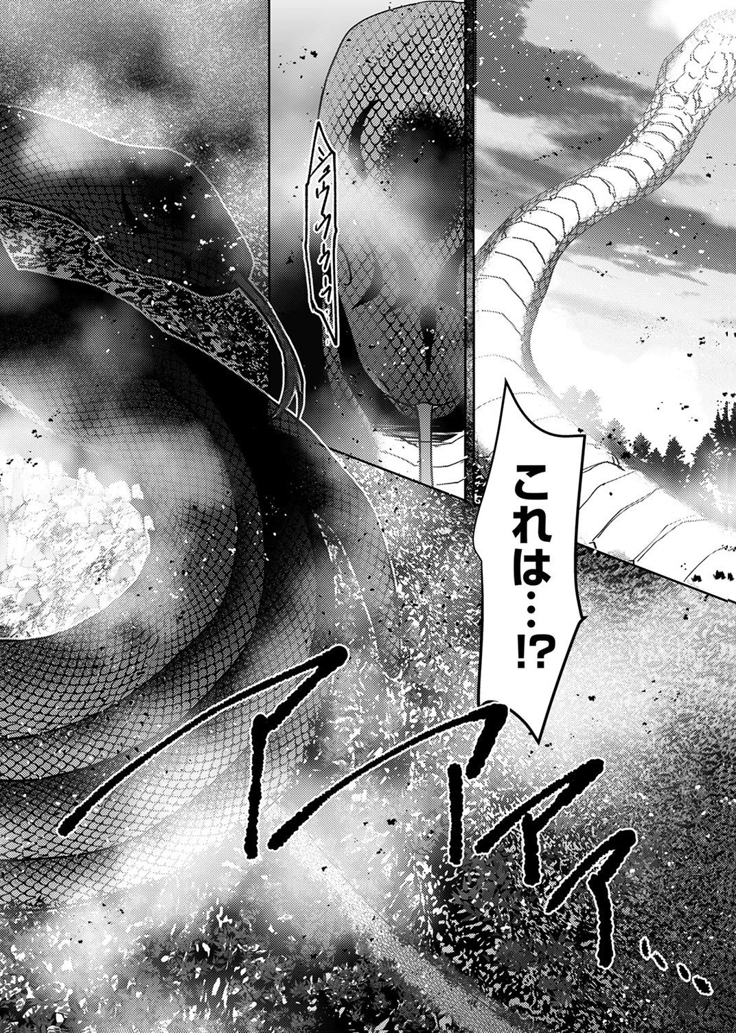 KONO YO NO HATE NO SEIREI KOROSHI: PARTY WO TSUIHOU SARETA BOUKENSHA, DENSETSU NO RYUUSEI TO KEIYAKU SHITE SAIKYOU NI ITARU Chapter 8 page 20 - nihonkuni.com
