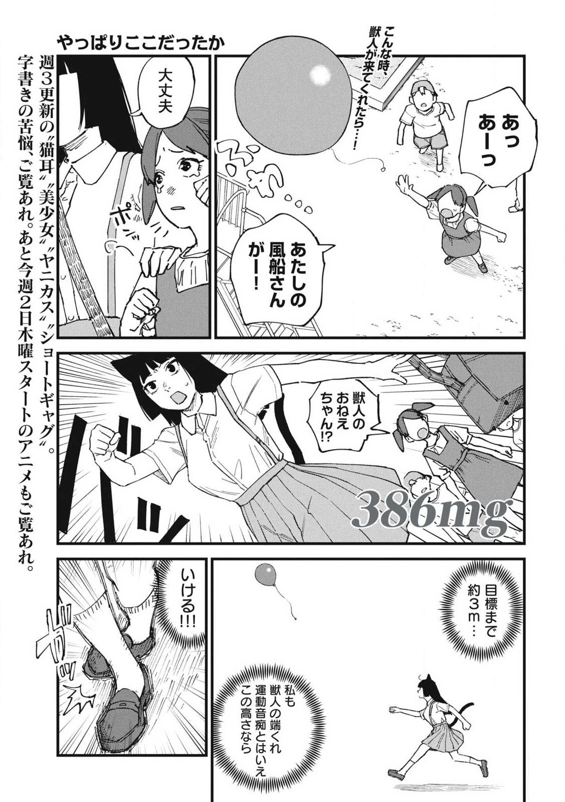 Read YANI NEKO Chapter 386 [High Quality / Full] - Page 1 - nicomanga.net