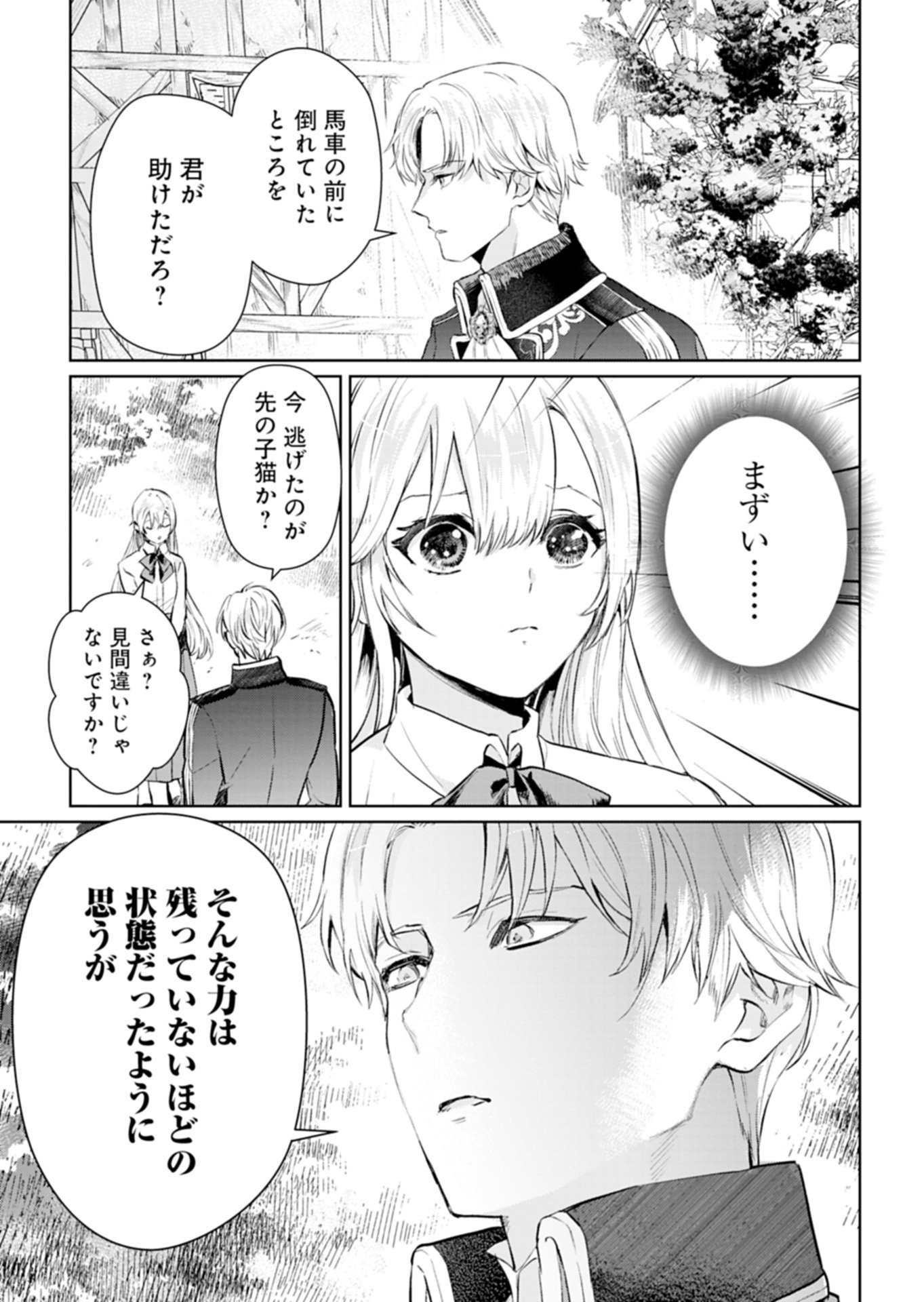 SEKAI SAIKYOU NO MARYOKU MOCHI WA HEION NI KURASHITAI! NAZEKA OUTAISHI DENKA NI SHUUCHAKU SARETEIMASU Chap 1 - Pic 25