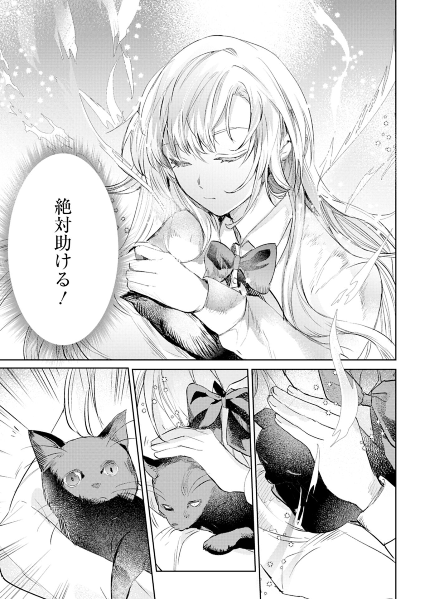 SEKAI SAIKYOU NO MARYOKU MOCHI WA HEION NI KURASHITAI! NAZEKA OUTAISHI DENKA NI SHUUCHAKU SARETEIMASU Chap 1 - Pic 21