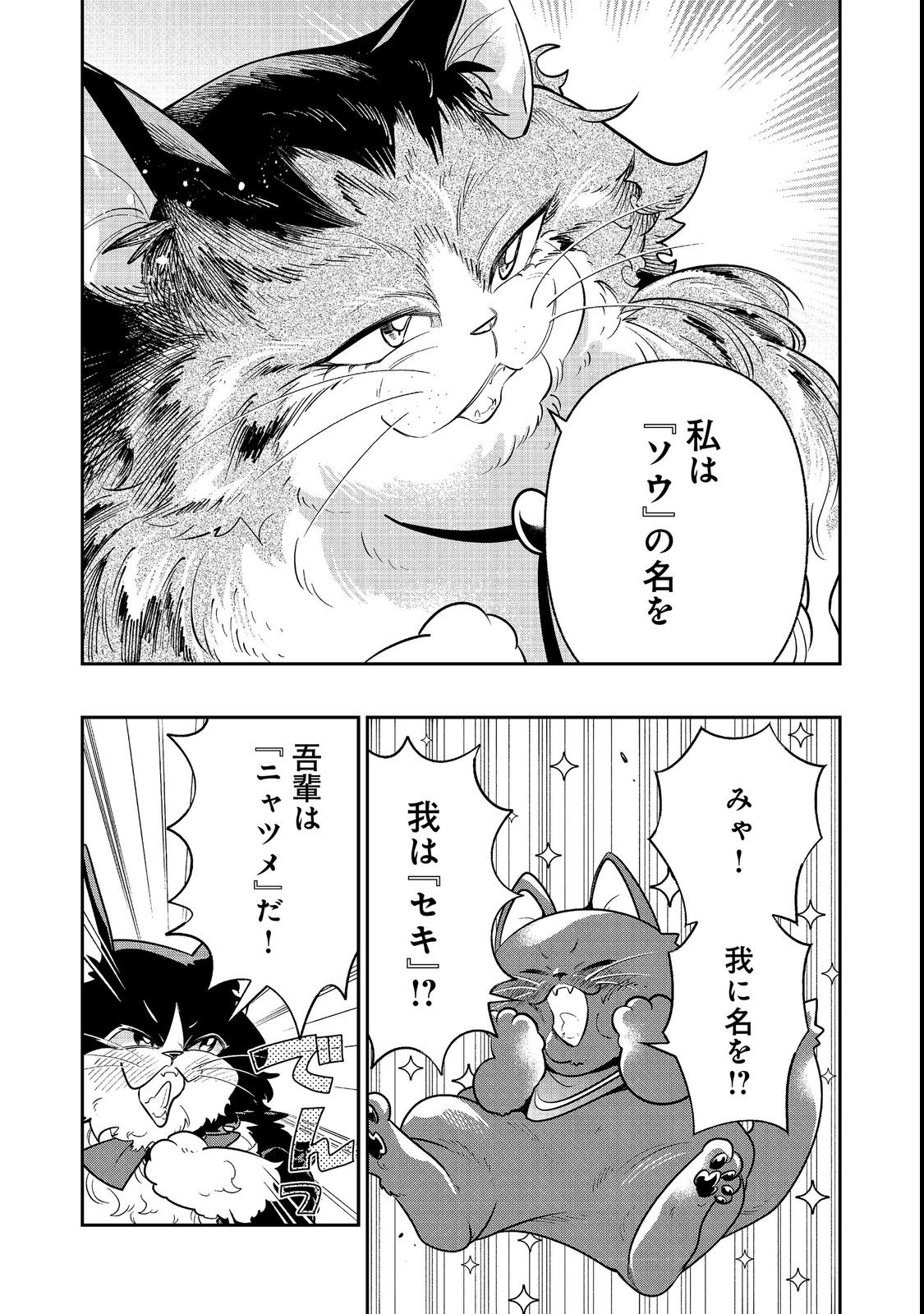 ARIGATOU CHEAT! TONZURA YOUJO WA MY PACE NI ISEKAI WO TANNOU SURU KOTO NI SHIMASHITA Chap 3 - Pic 13