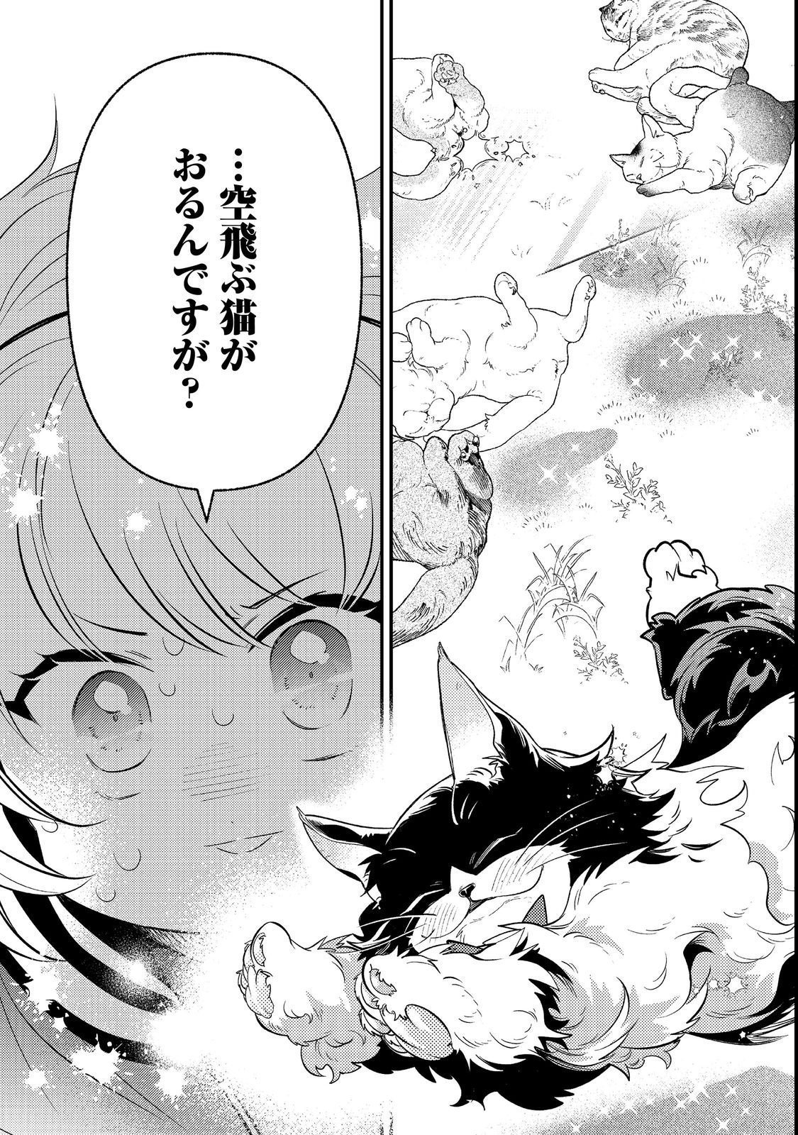 ARIGATOU CHEAT! TONZURA YOUJO WA MY PACE NI ISEKAI WO TANNOU SURU KOTO NI SHIMASHITA Chap 2 - Pic 43