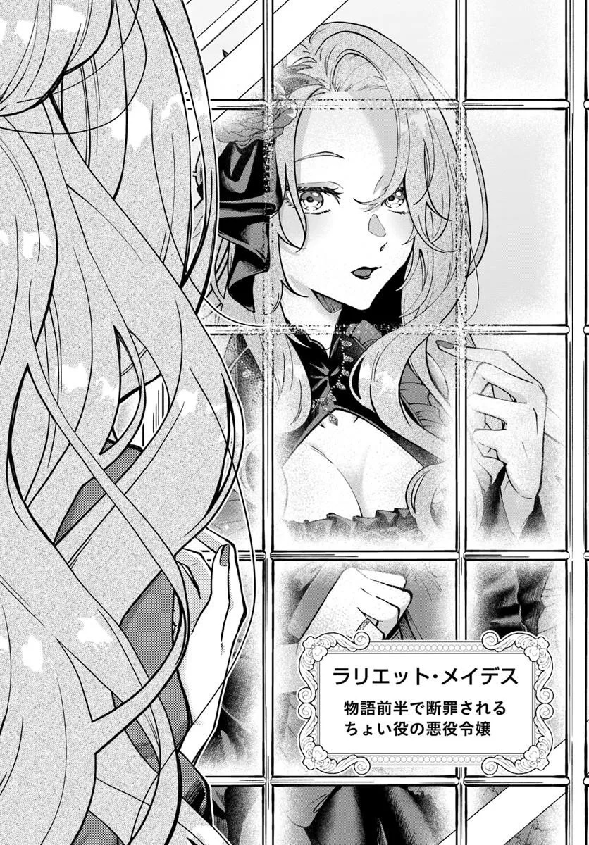 AKUYAKU REIJOU NI TENSEI SHITA WATASHI GA, NAZEKA BOUKUN KOUSHAKU NI DEKIAI SARETE RUN DESU KEDO Chap 1.1 - Pic 6