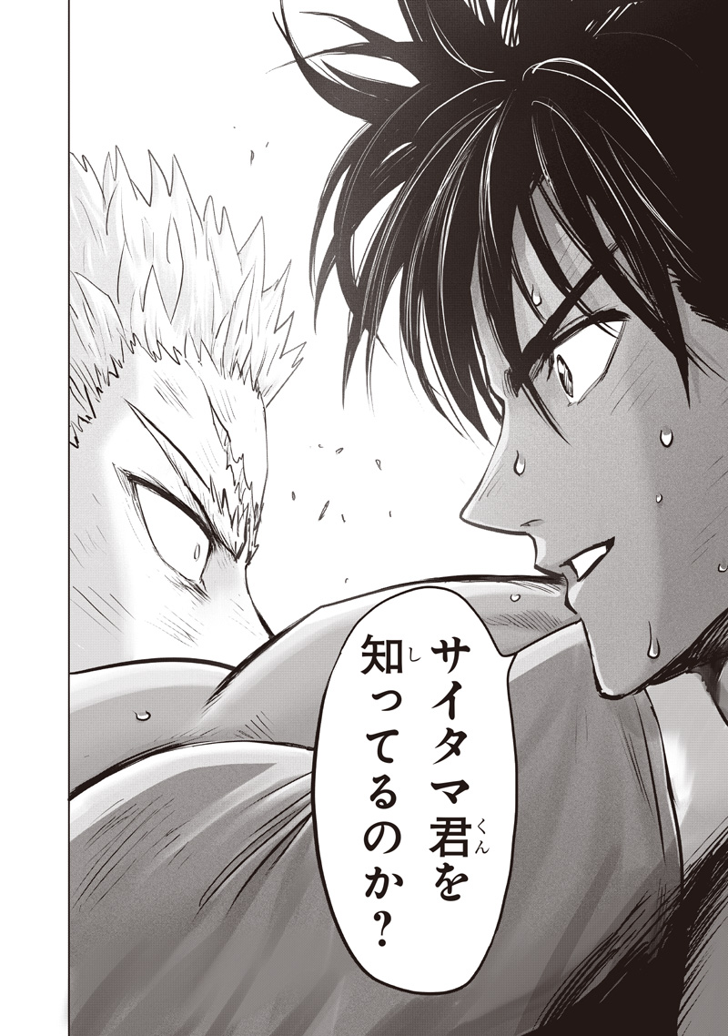 One Punch Man (Manga) Chapter 282 page 24 - nihonkuni.com