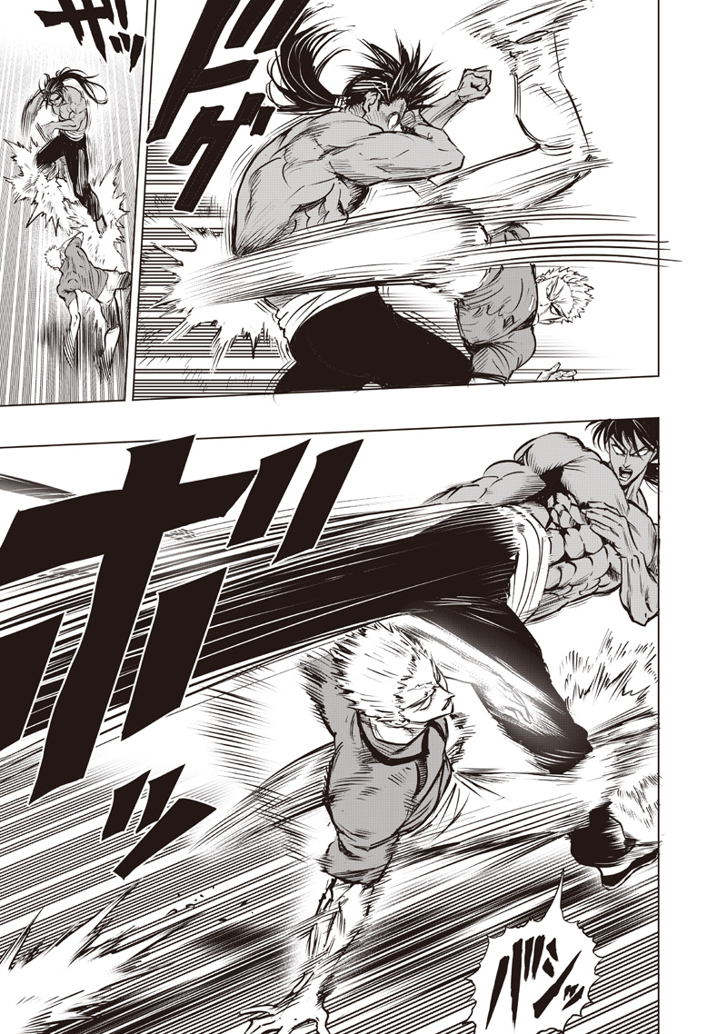 One Punch Man (Manga) Chapter 282 page 3 - nihonkuni.com