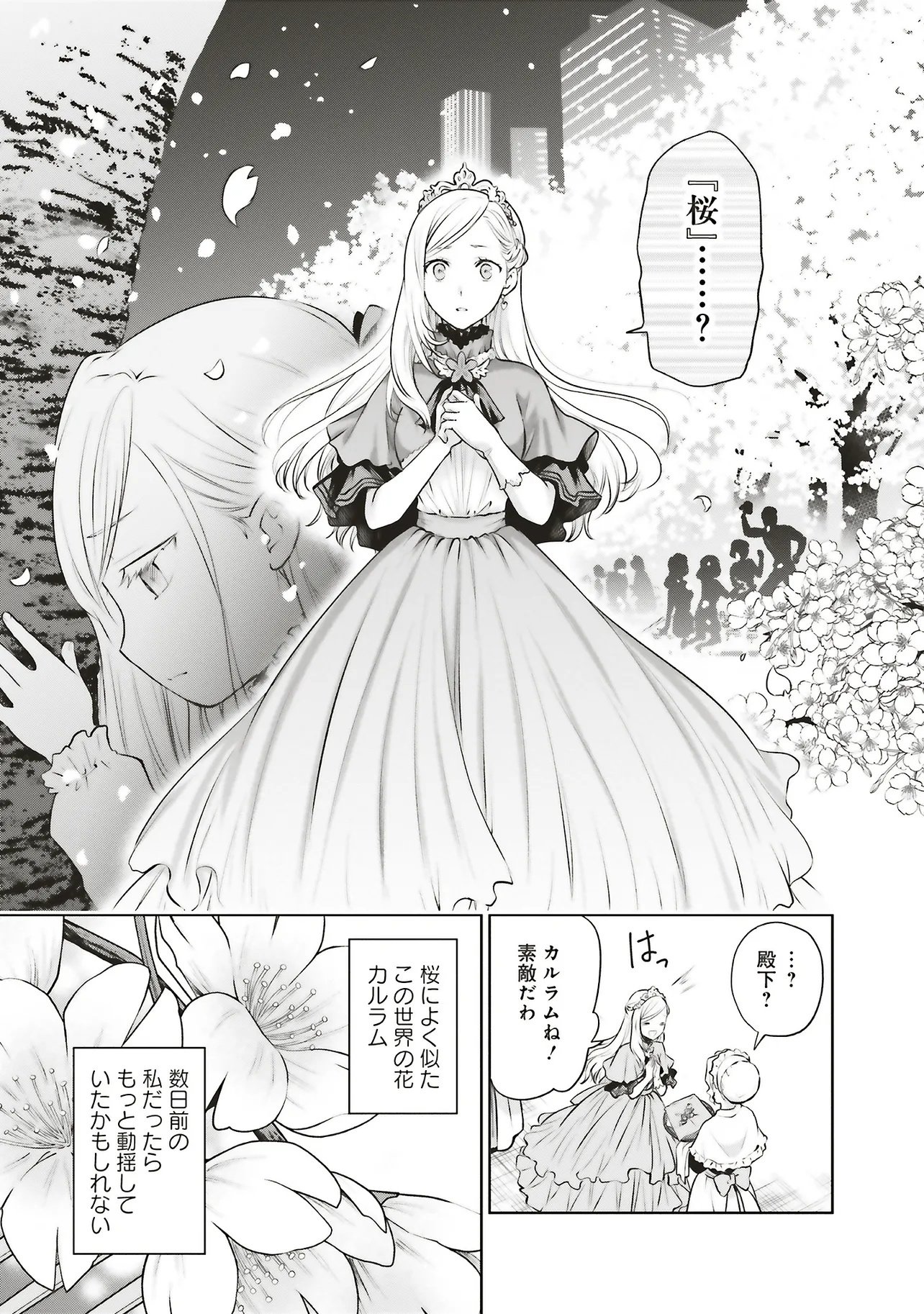 WATASHI WA GOTSUGOU SHUGI NA KAIKETSU TANTOU NO OUJO DE ARU Chapter 40.1 page 5 - nihonkuni.com
