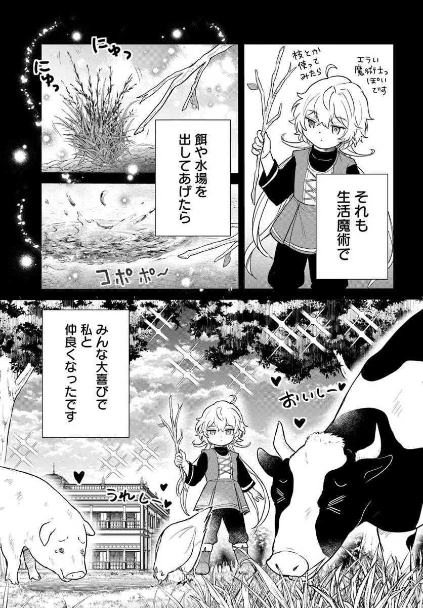 JOUSAI YOUJO SYLVIA: JITSU WA BANNOU NA SEIKATSU MAJUTSU WO TSUKATTE MISUTERARETA TOSHI WO HATTEN SASEMASU Chapter 1 page 23 - nihonkuni.com
