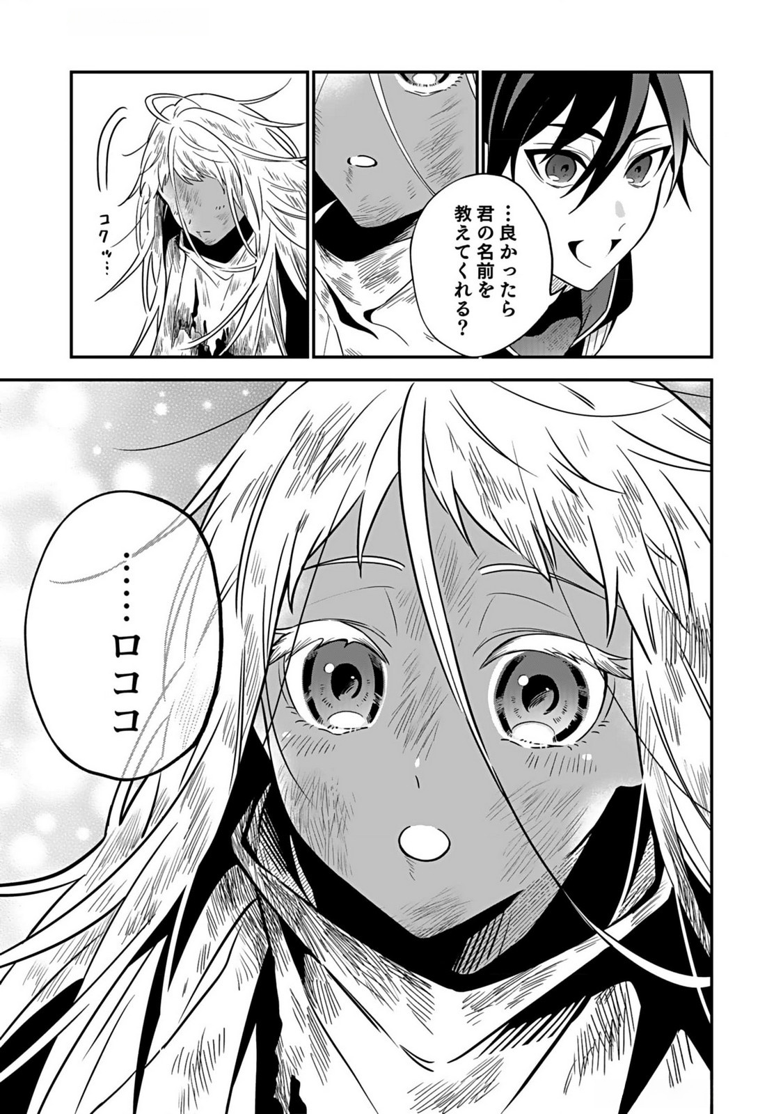 YAMI ZOKUSEI DAKEDO KYAKKOU WO ABITE MO II DESU KA: TSUIHOUSARETA SHOUNEN ASASHIN WA WAKEARI YAMI BISHOUJO-TACHI TO SHIN NO YUUSHA NI NARIAGARU Chapter 2 page 3 - nihonkuni.com