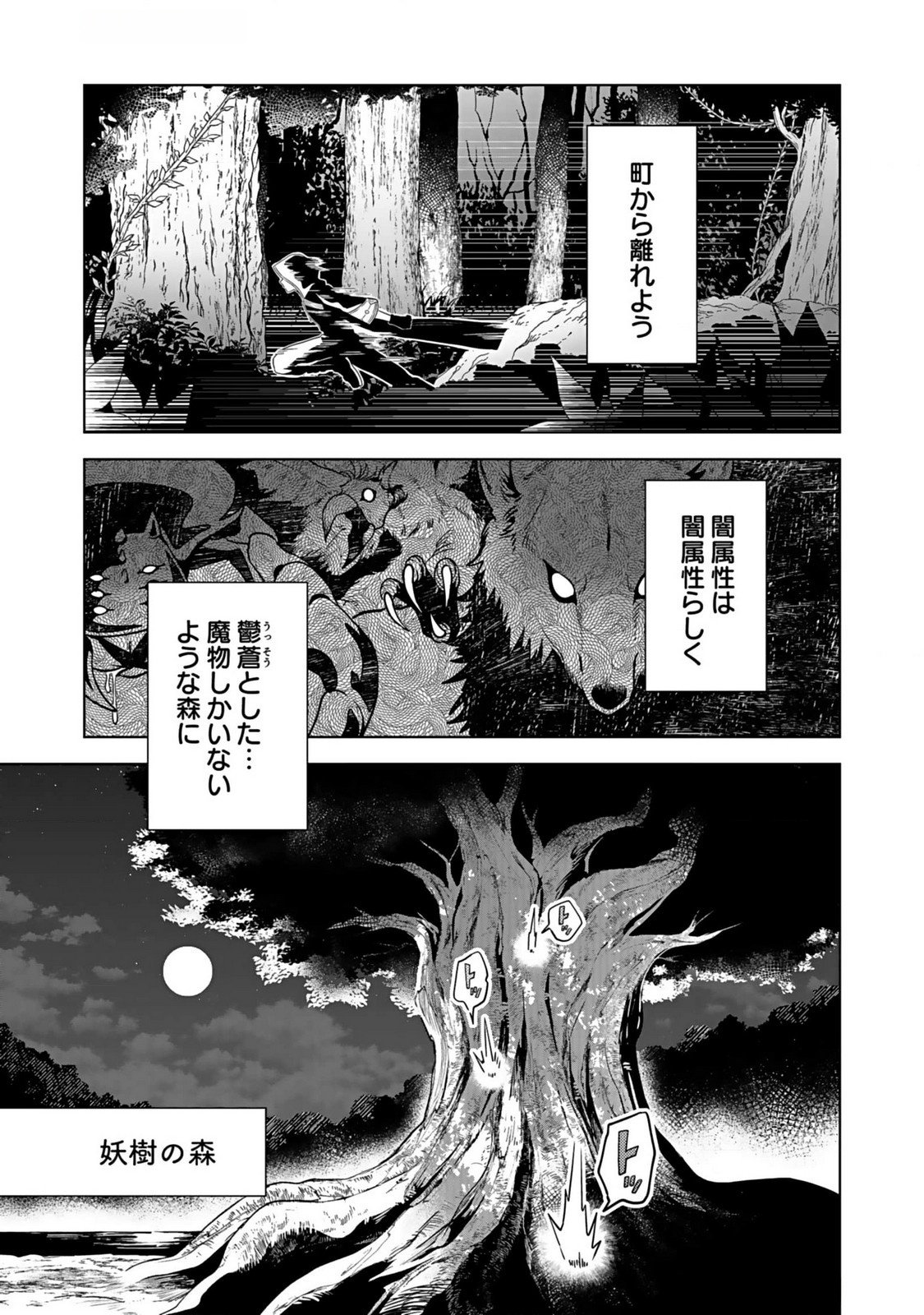 YAMI ZOKUSEI DAKEDO KYAKKOU WO ABITE MO II DESU KA: TSUIHOUSARETA SHOUNEN ASASHIN WA WAKEARI YAMI BISHOUJO-TACHI TO SHIN NO YUUSHA NI NARIAGARU Chapter 1 page 17 - nihonkuni.com
