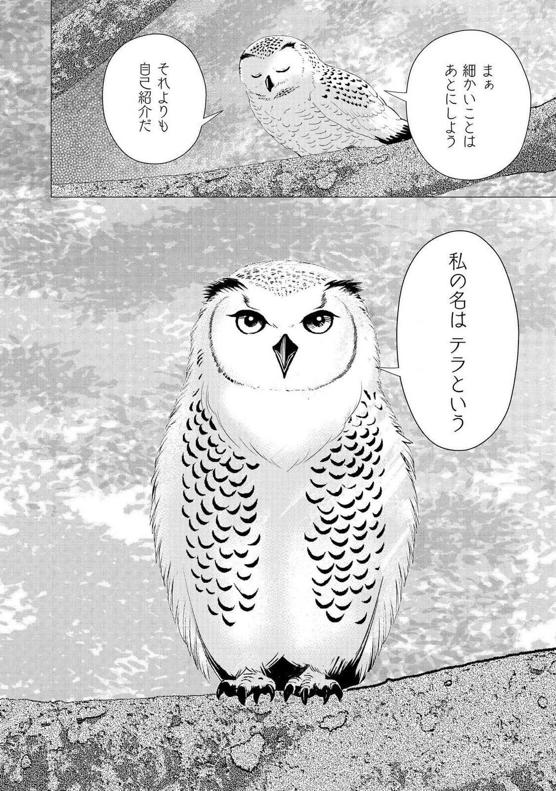 KIMI TO ISEKAI WO JIYUU NI IKITE YUKU TAME NO SAETA YARIKATA: YUIITSU MUNI NO CHIKARA WO ATAERETE TA BOKU WA ZETTAISHA TO NARI TSUIHOUSHA SARETA OUJO WO KYUSAI SURU Chap 5 - Pic 4