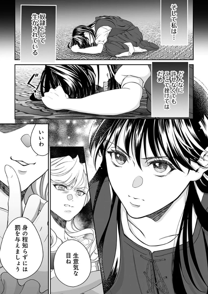 ZANGYAKU OU WA DOREI HIME NI GO SHUUSHIN: KATSU TE HIROWARETA OTOKO WA, UNMEI NO ONNA NI SUBETE WO SASAGU Chapter 1 - Page 11