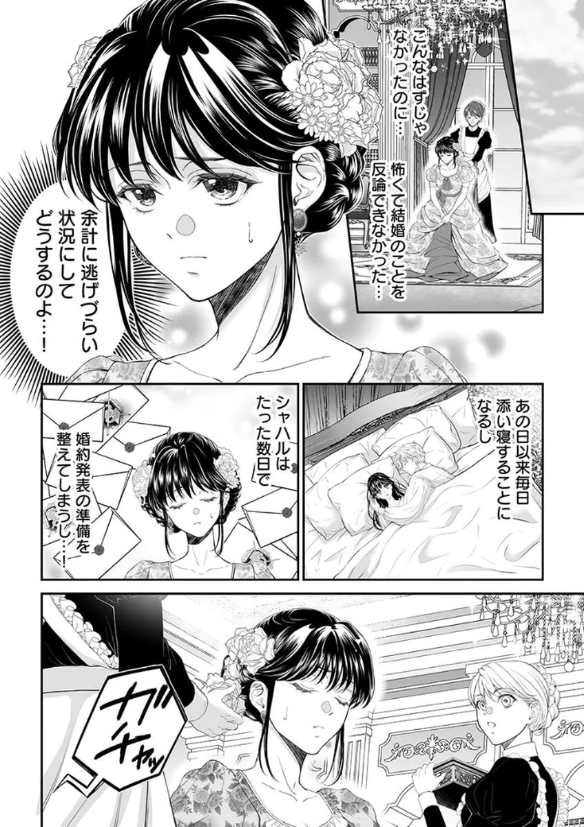 ZANGYAKU OU WA DOREI HIME NI GO SHUUSHIN: KATSU TE HIROWARETA OTOKO WA, UNMEI NO ONNA NI SUBETE WO SASAGU Chapter 3 - Page 28