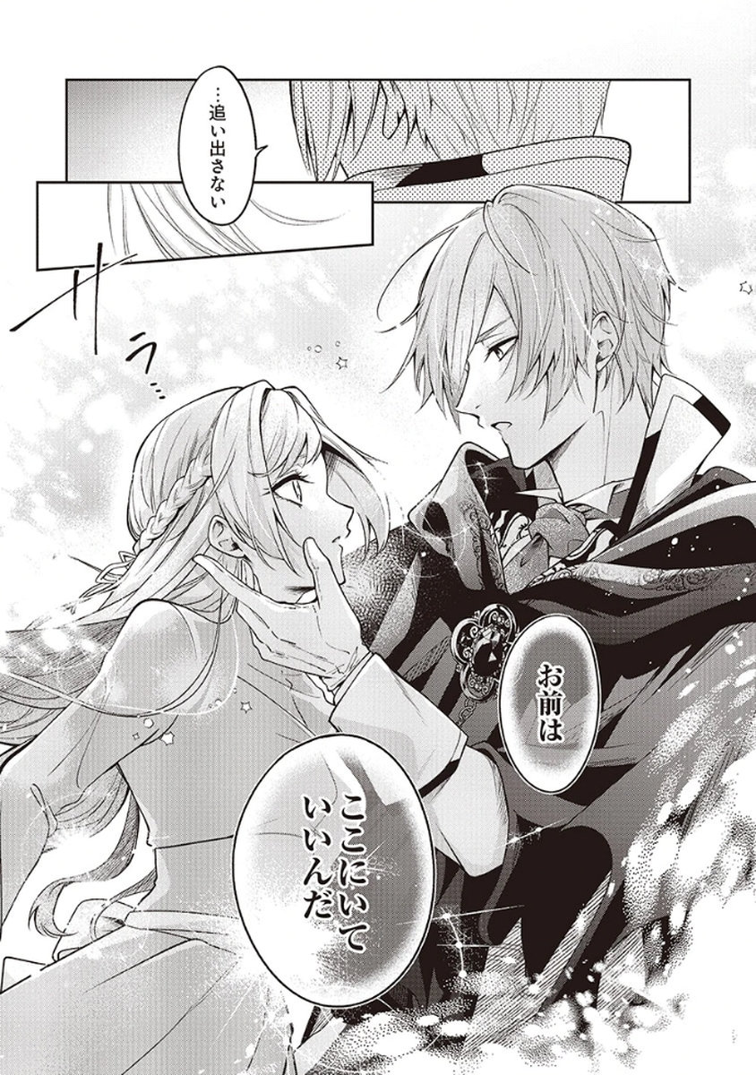 MIGAWARI REIJOU WO SUKUTTA NO WA REIKOKU MUJIHI NA KOORI NO OUJI NO AI DESHITA Chap 3 - Pic 21