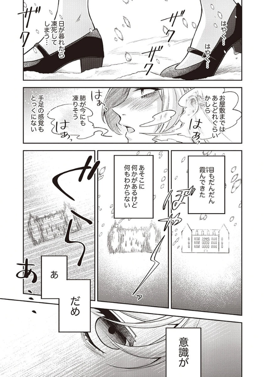 MIGAWARI REIJOU WO SUKUTTA NO WA REIKOKU MUJIHI NA KOORI NO OUJI NO AI DESHITA Chap 1 - Pic 31