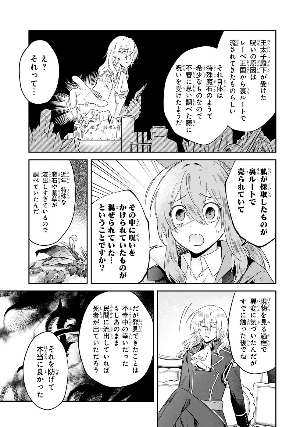 SEIJO NO ANE DESU GA, IMOUTO NO TAME NO TOKUSHU MASEKI YA TOKUSHU YAKUSOU NO SAISHU WO YAMETARA, RINGOKU NO MAJUTSUSHI-SAMA NO MOTO DE SHIAWASE NI NARIMASHITA! Chapter 7 - Page 13