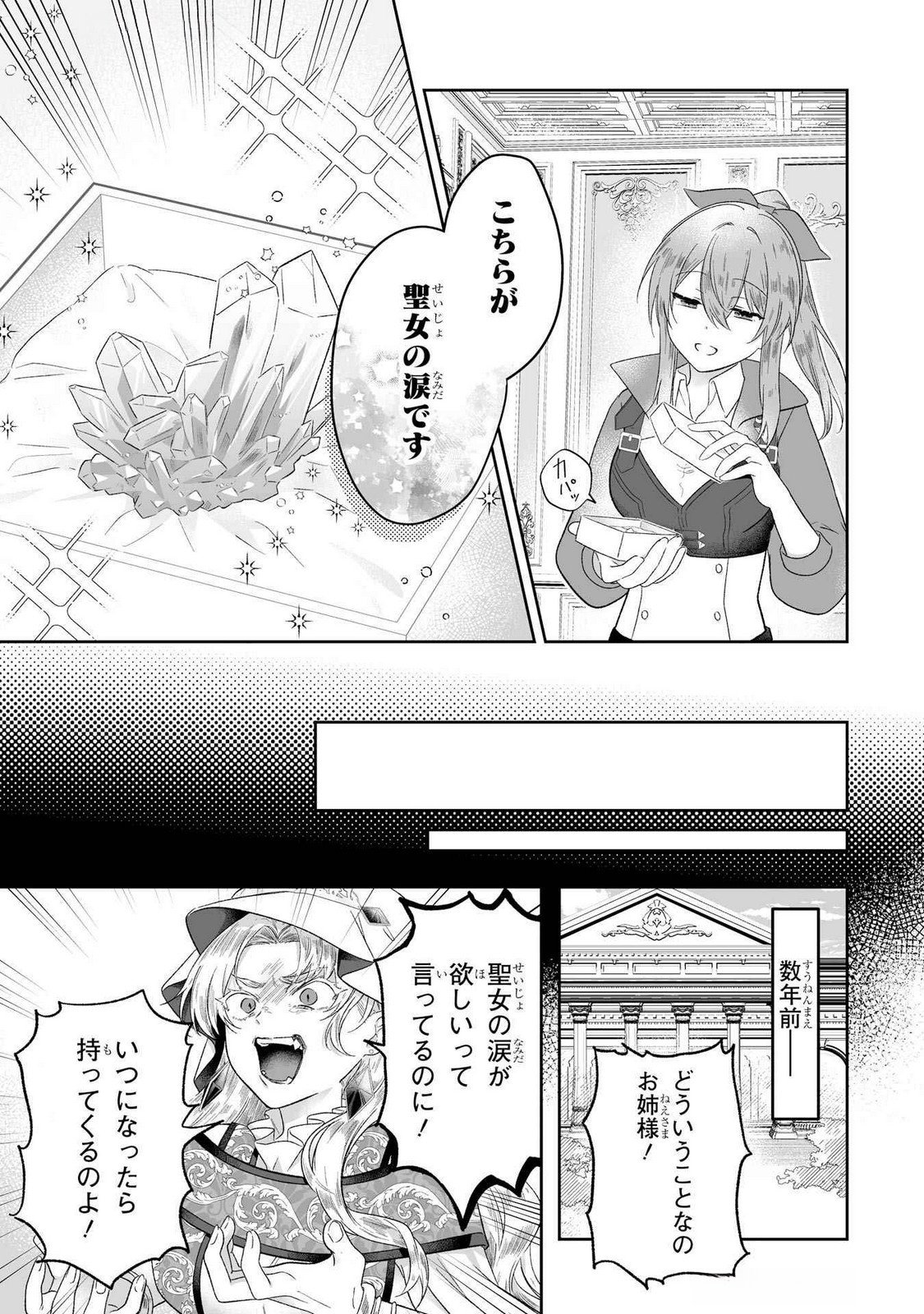 SEIJO NO ANE DESU GA, IMOUTO NO TAME NO TOKUSHU MASEKI YA TOKUSHU YAKUSOU NO SAISHU WO YAMETARA, RINGOKU NO MAJUTSUSHI-SAMA NO MOTO DE SHIAWASE NI NARIMASHITA! Chapter 4 - Page 3