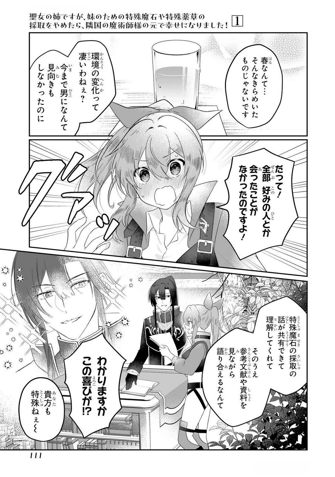 SEIJO NO ANE DESU GA, IMOUTO NO TAME NO TOKUSHU MASEKI YA TOKUSHU YAKUSOU NO SAISHU WO YAMETARA, RINGOKU NO MAJUTSUSHI-SAMA NO MOTO DE SHIAWASE NI NARIMASHITA! Chapter 3 - Page 3
