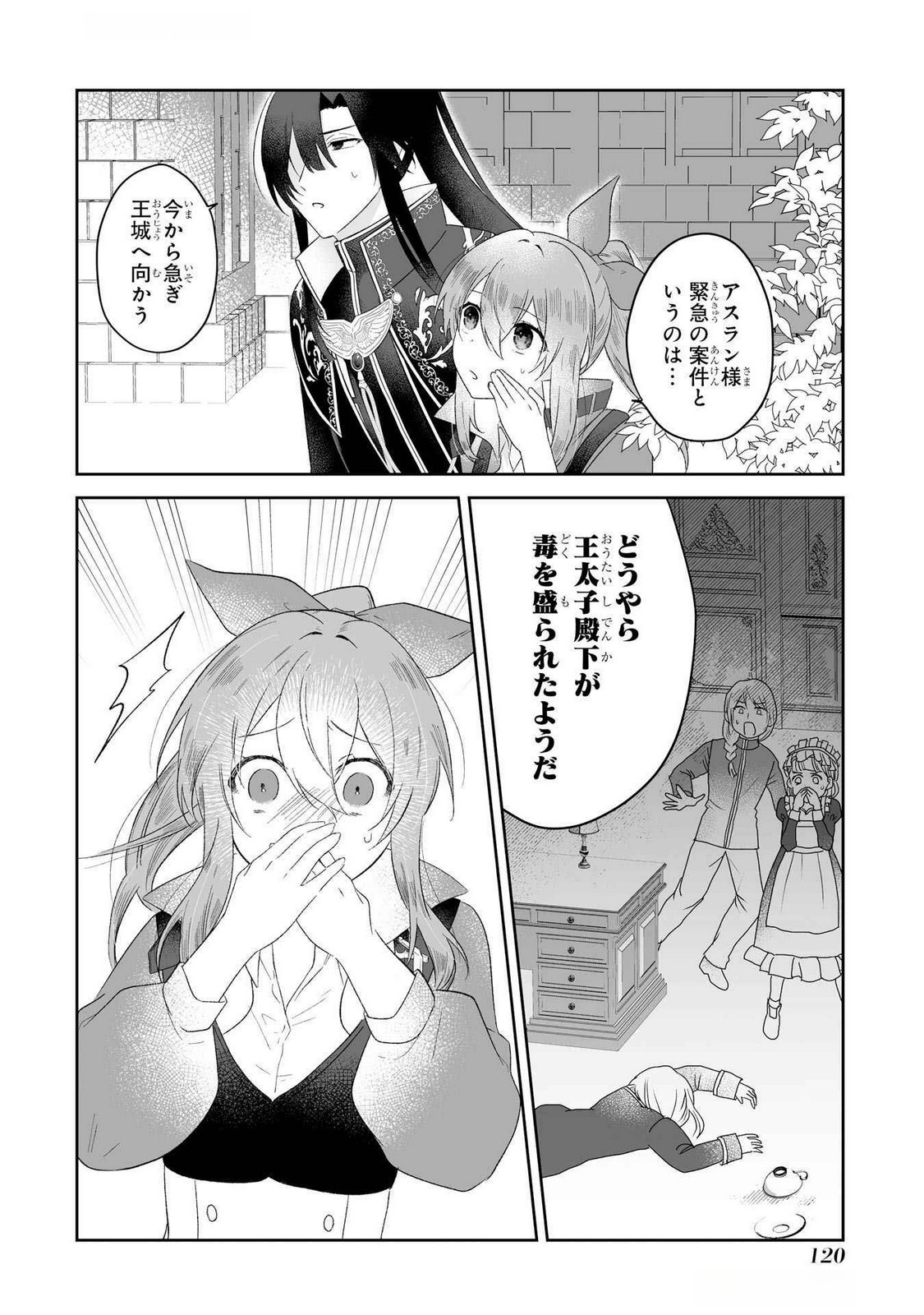 SEIJO NO ANE DESU GA, IMOUTO NO TAME NO TOKUSHU MASEKI YA TOKUSHU YAKUSOU NO SAISHU WO YAMETARA, RINGOKU NO MAJUTSUSHI-SAMA NO MOTO DE SHIAWASE NI NARIMASHITA! Chapter 3 - Page 12