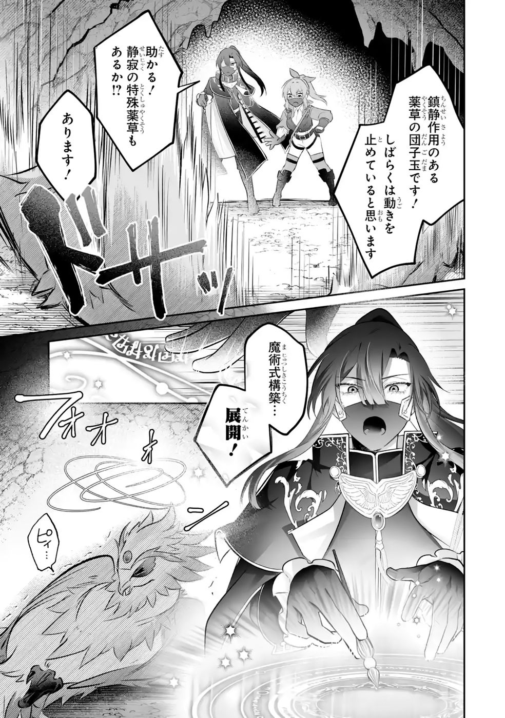 SEIJO NO ANE DESU GA, IMOUTO NO TAME NO TOKUSHU MASEKI YA TOKUSHU YAKUSOU NO SAISHU WO YAMETARA, RINGOKU NO MAJUTSUSHI-SAMA NO MOTO DE SHIAWASE NI NARIMASHITA! Chapter 14 - Page 29