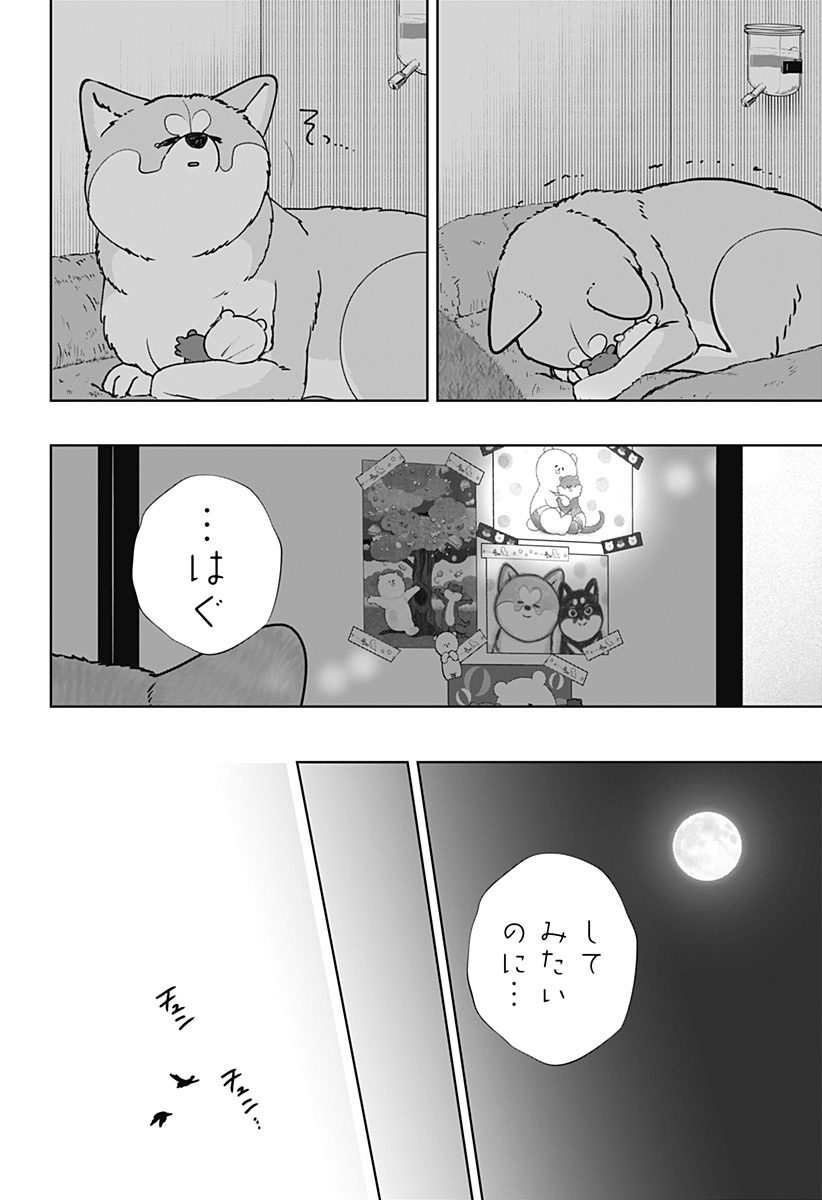 SHIBA-TSUKI BUKKEN Chap 59 - Pic 12