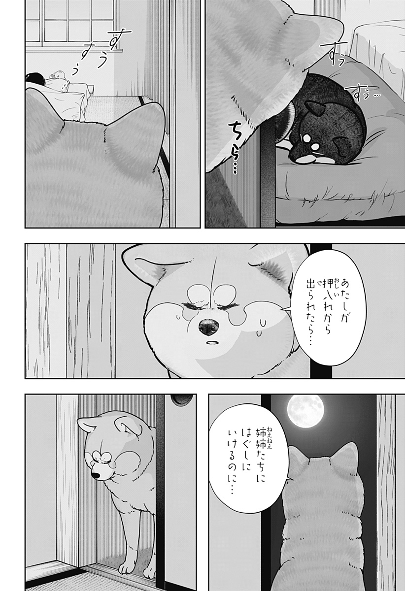 SHIBA-TSUKI BUKKEN Chap 59 - Pic 10