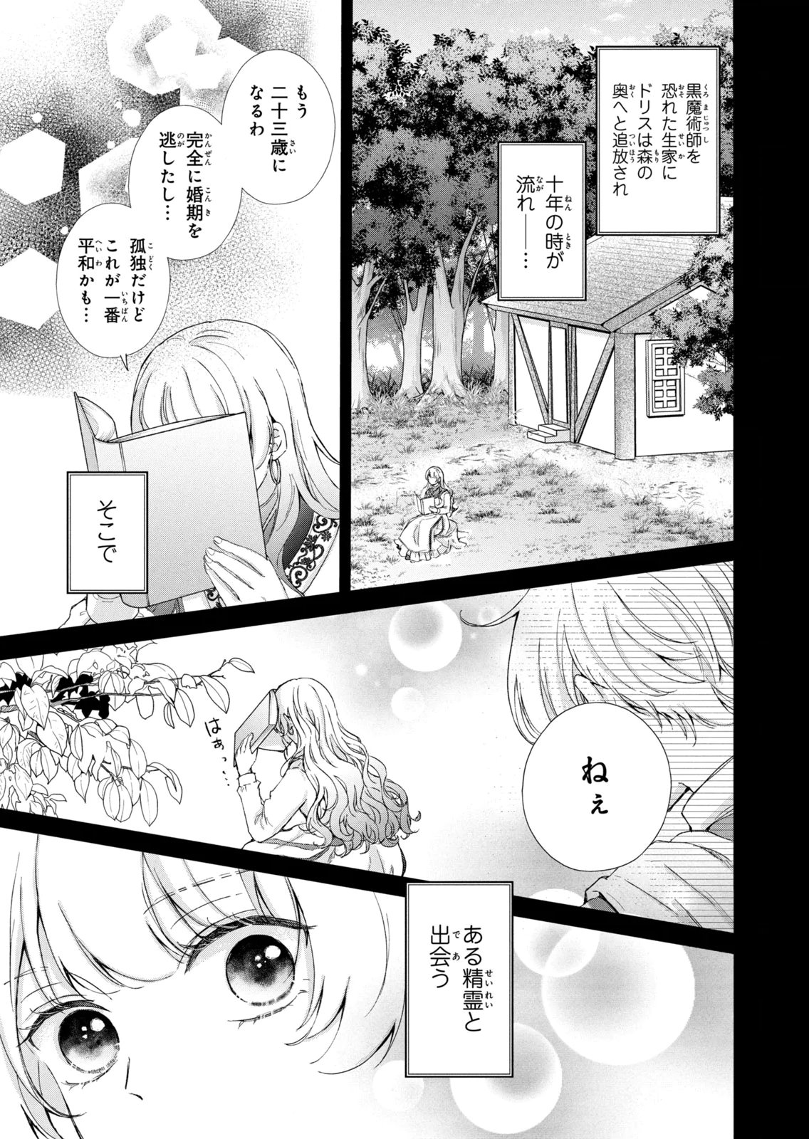 KONYAKUSHA NI WASURERARETA WATASHI RINGOKU NO KOUTAISHI DENKA TO GISOU KONYAKU SURU KOTO NI NARIMASHITA (※TADASHI, DENKA NO HONMEI WA WATASHI MITAI DESU!?) Chap 19 - Pic 11
