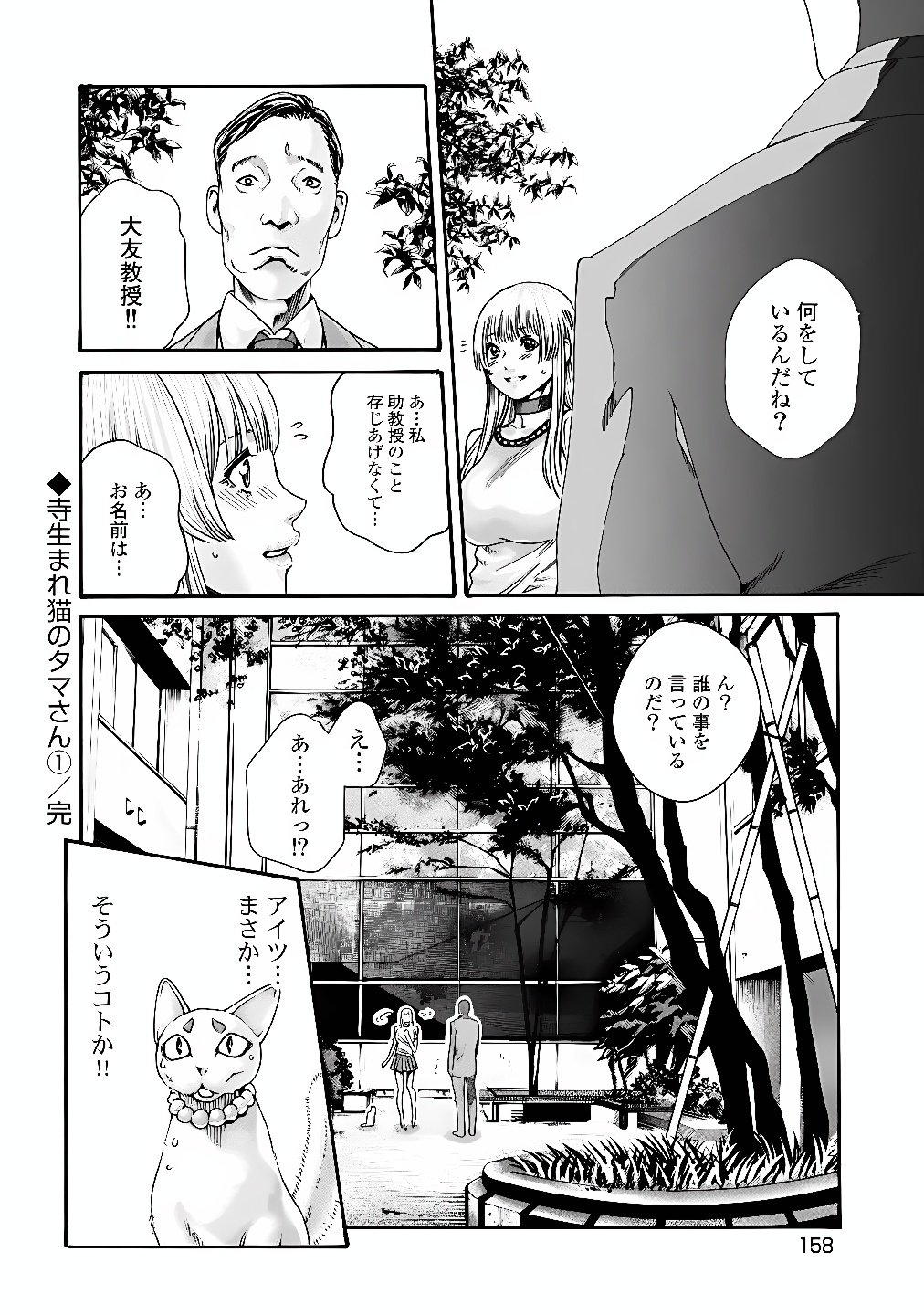 TERA UMARE NEKO NO TAMA-SAN Chap 18 - Pic 8