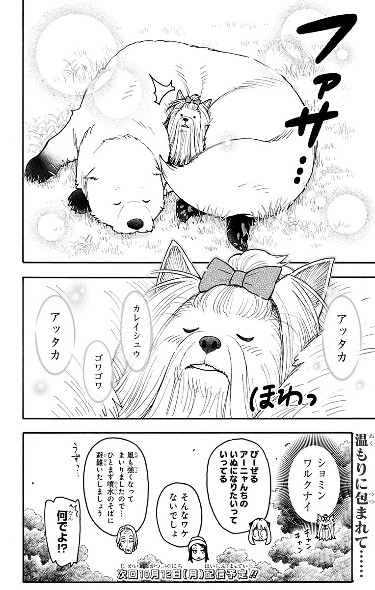 Spy X Family   Chap 140.5 - Pic 5
