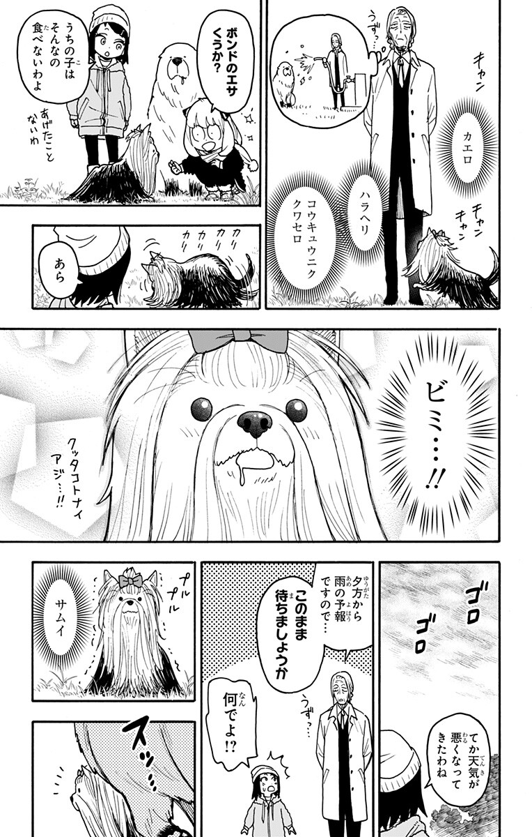 Spy X Family   Chap 140.5 - Pic 4